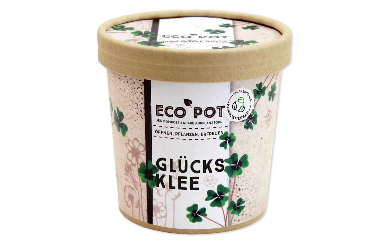 Feel Green EcoPot Glücksklee Feel Green EcoPot Glücksklee