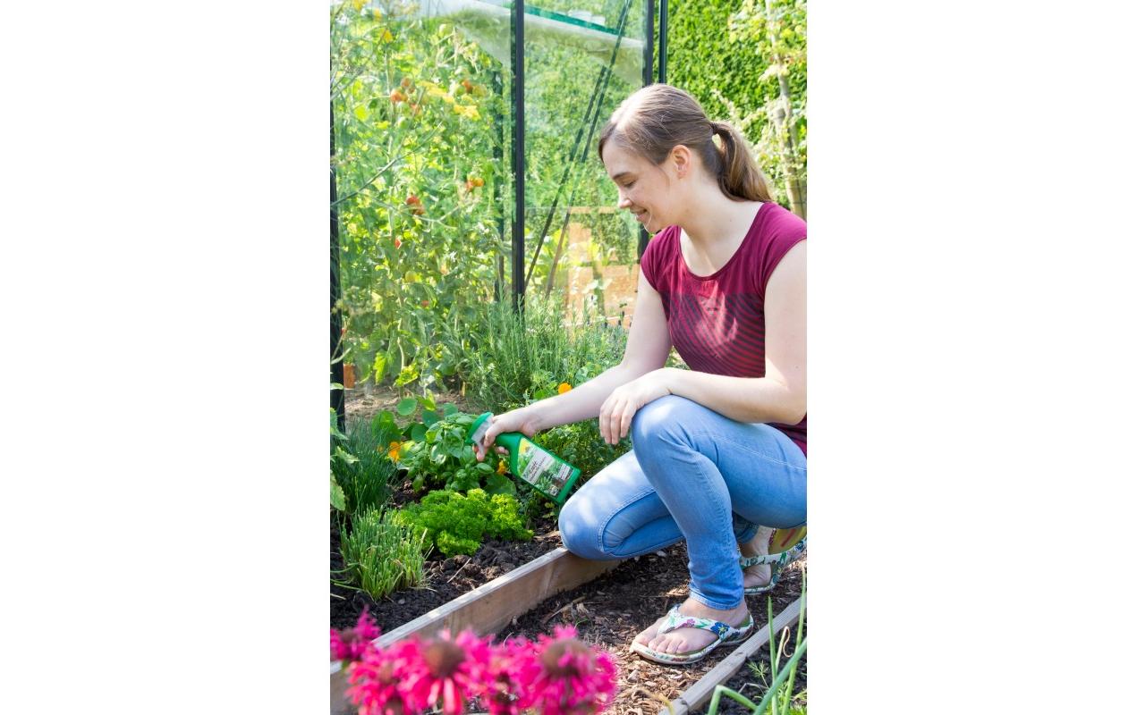 Neudorff BioKraft Vitalkur für Kräuter AF, 500 ml Neudorff BioKraft Vitalkur für Kräuter AF, 500 ml