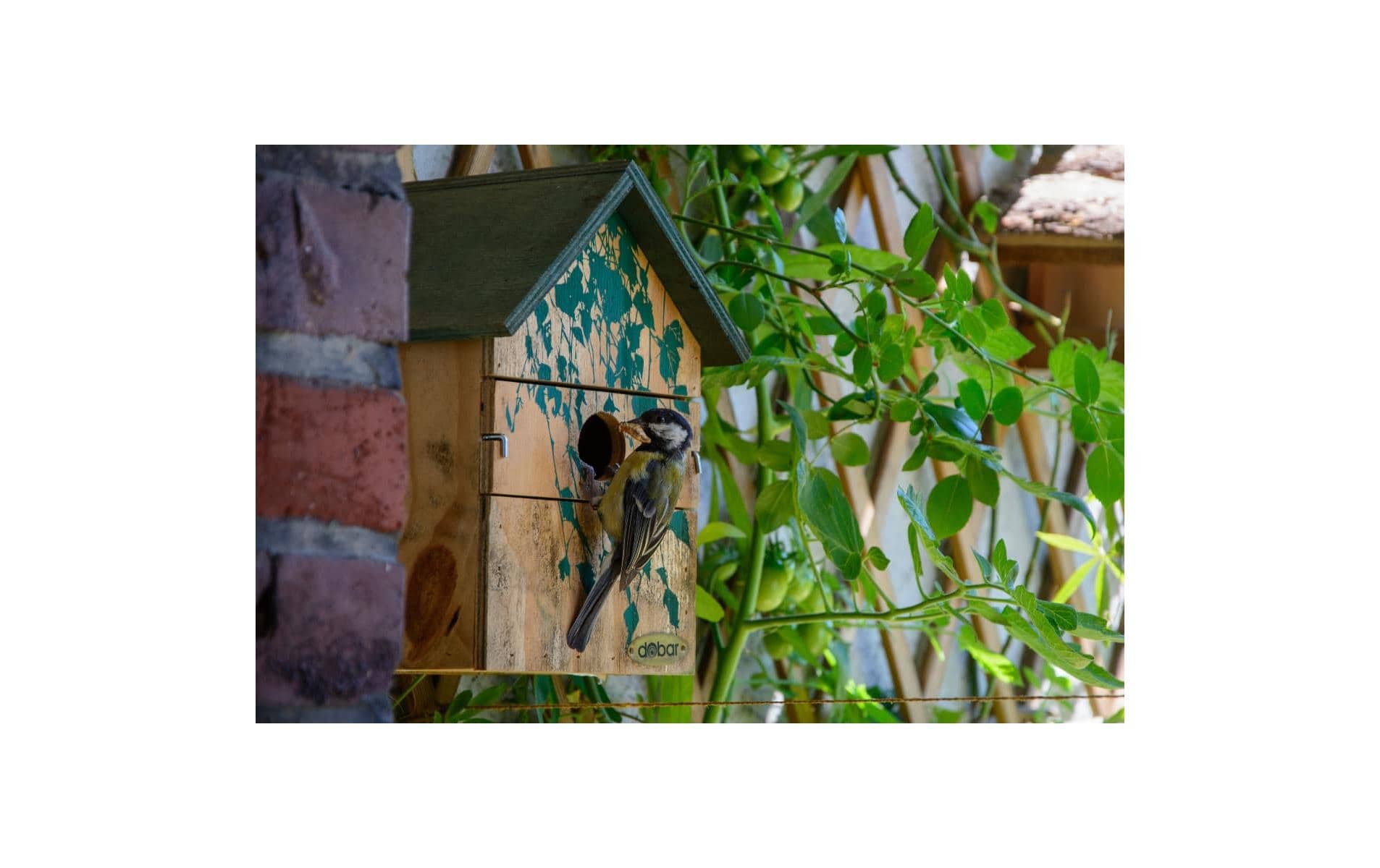 dobar Nistkasten Camouflage Birke, 17.5 x 17 x 33 cm, Holz