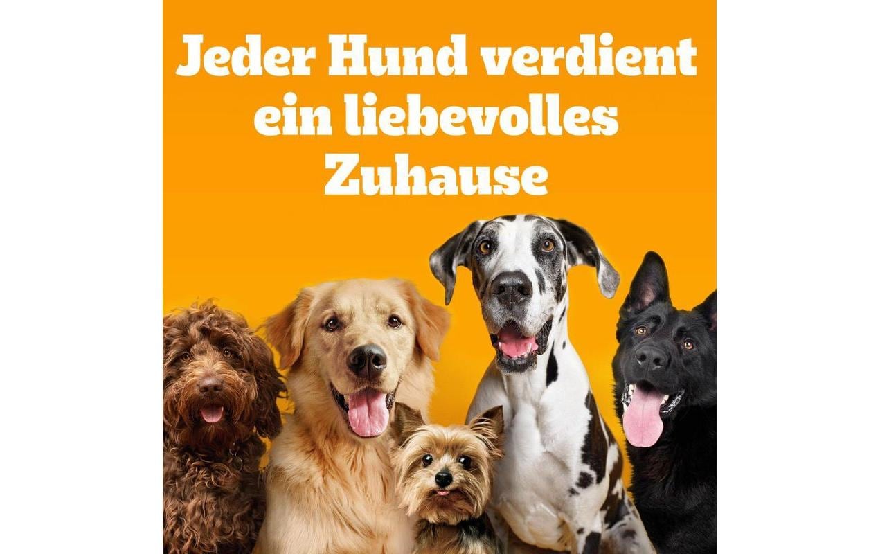 Pedigree Kausnack Ranchos Cubes Huhn 70 g