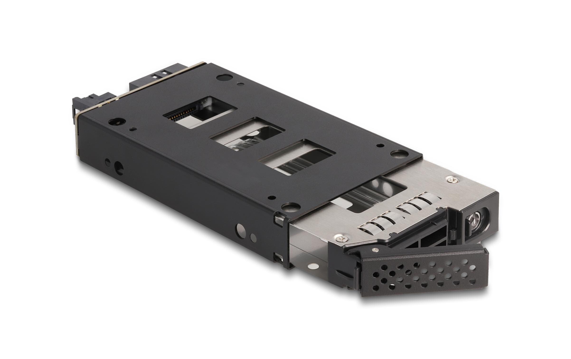 Delock Wechselrahmen U.2 NVMe 2.5