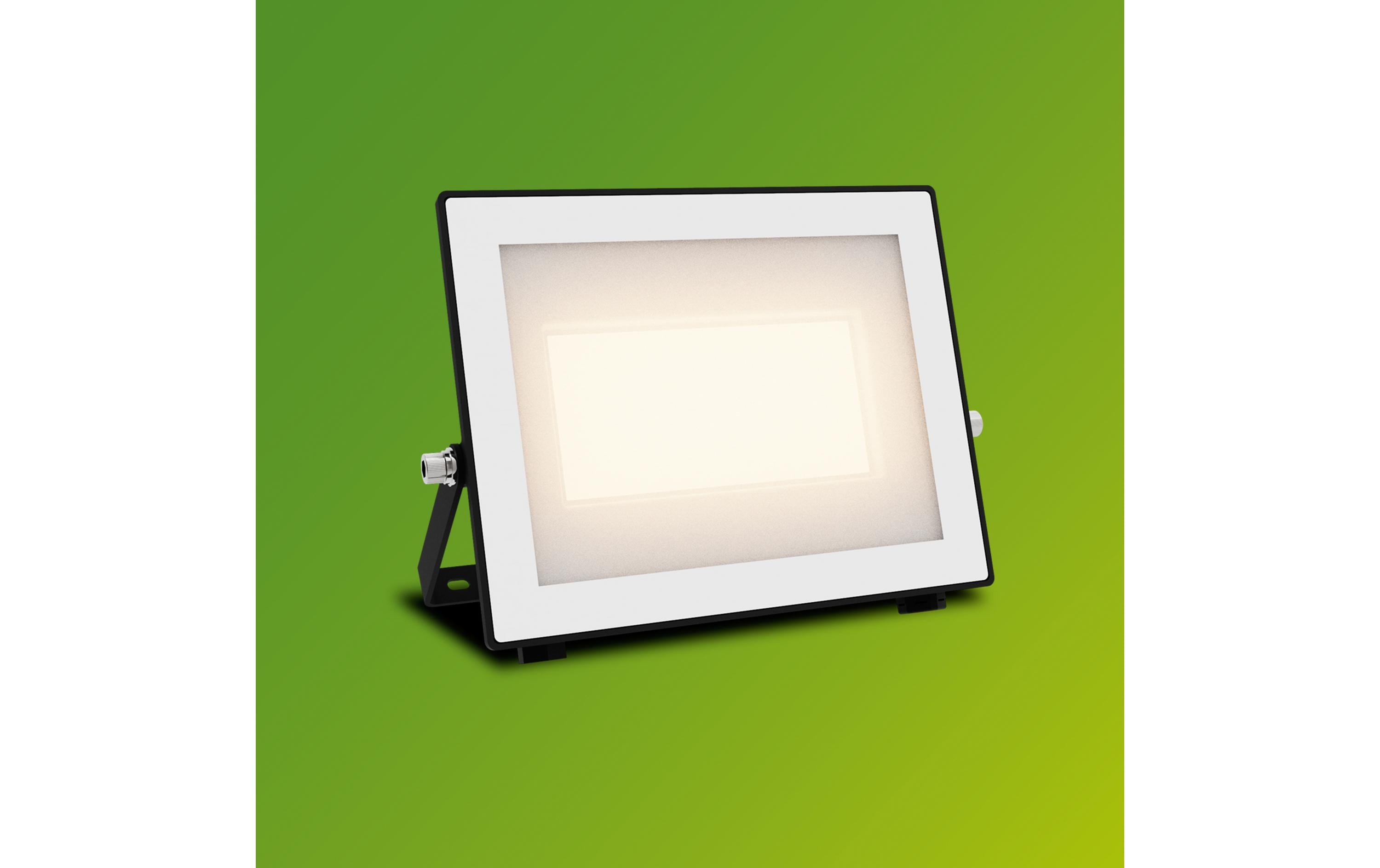 Philips Lois Flutlicht 50W 3000K IP65 schwarz 50 W