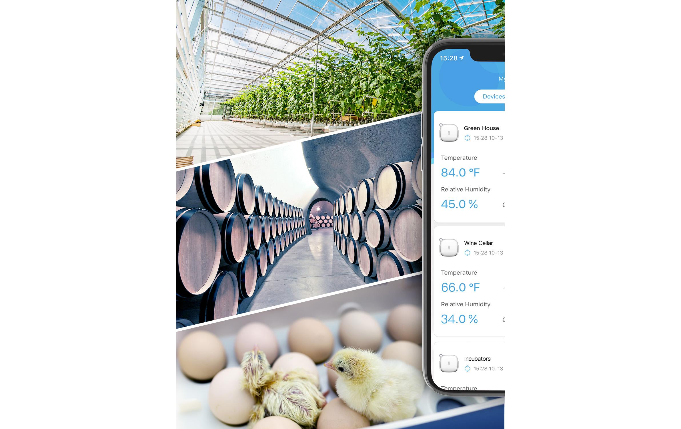 Govee Wetterstation WiFi Thermometer/Hygrometer