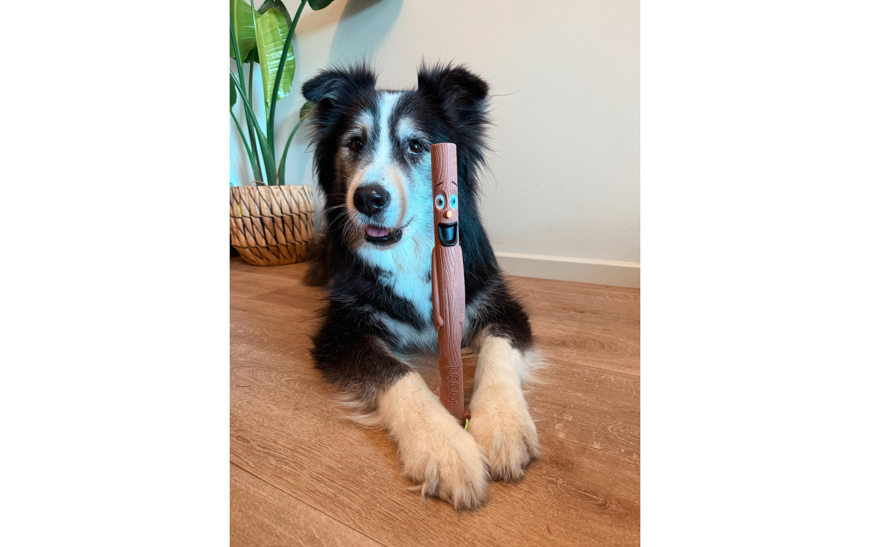 Doog Hunde-Spielzeug Family Stick Woody 31 cm x 2.5 cm