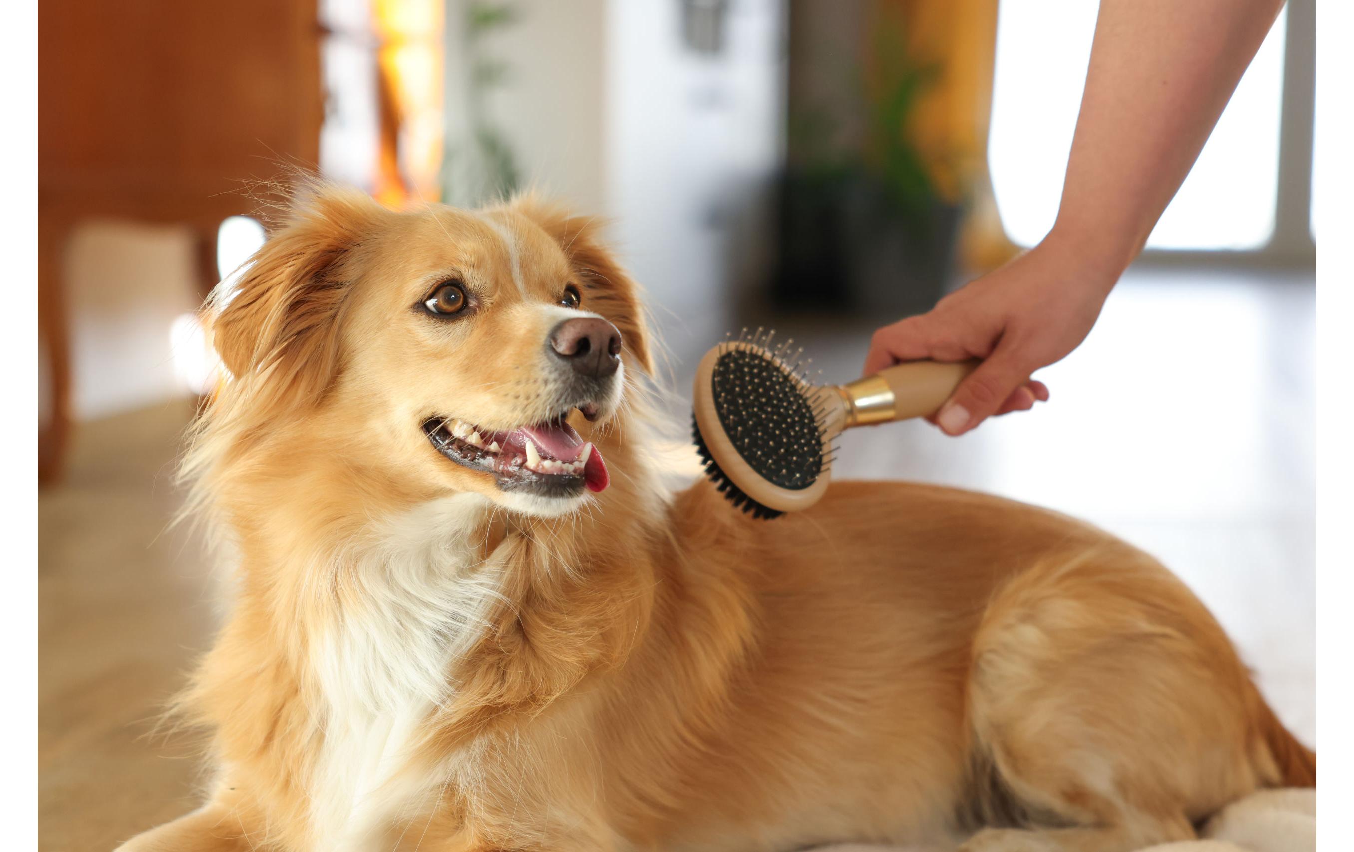 Kerbl MagicBrush Doppelbürste 9 cm x 20 cm