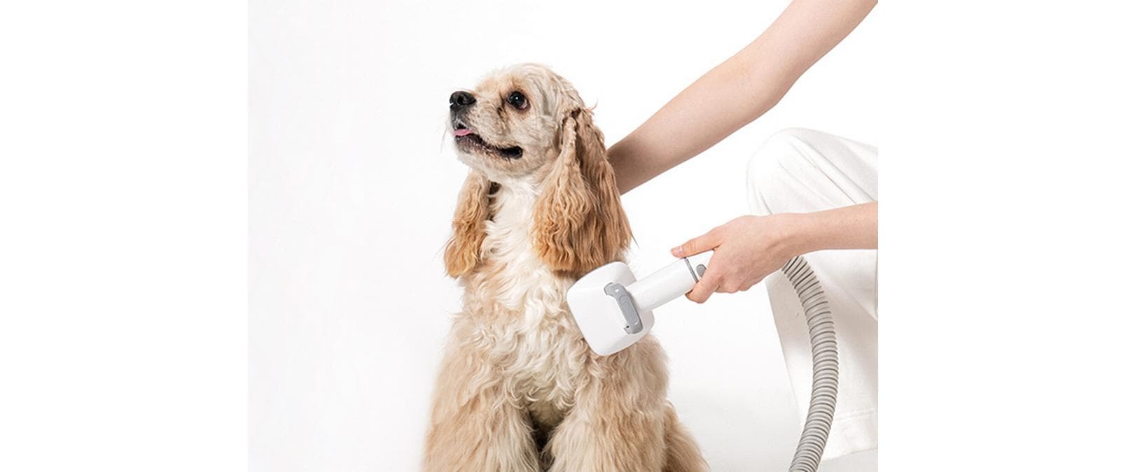 Neakasa P0 Pro Hundeschermaschine, 5in1 mit Staubsauger