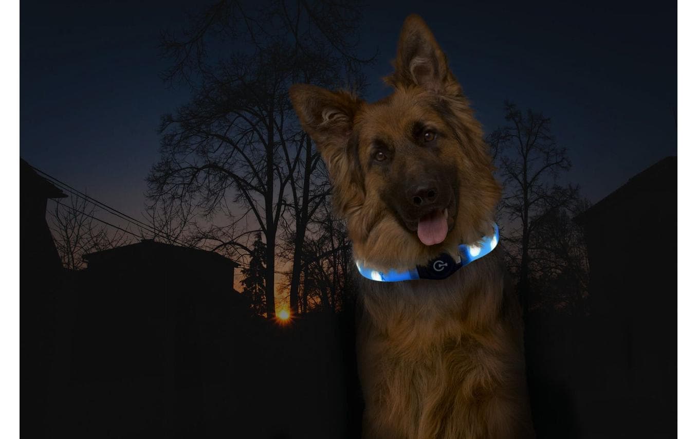 Karlie Leuchtring Visio Light LED Langhaar, blau