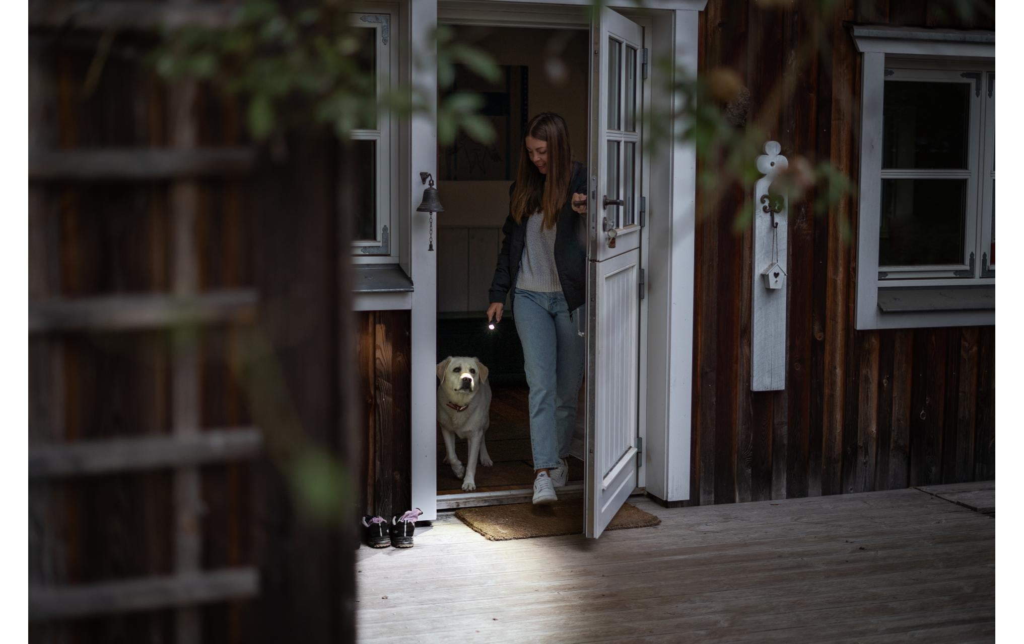 LED LENSER Taschenlampe P5R Core, 500 lm