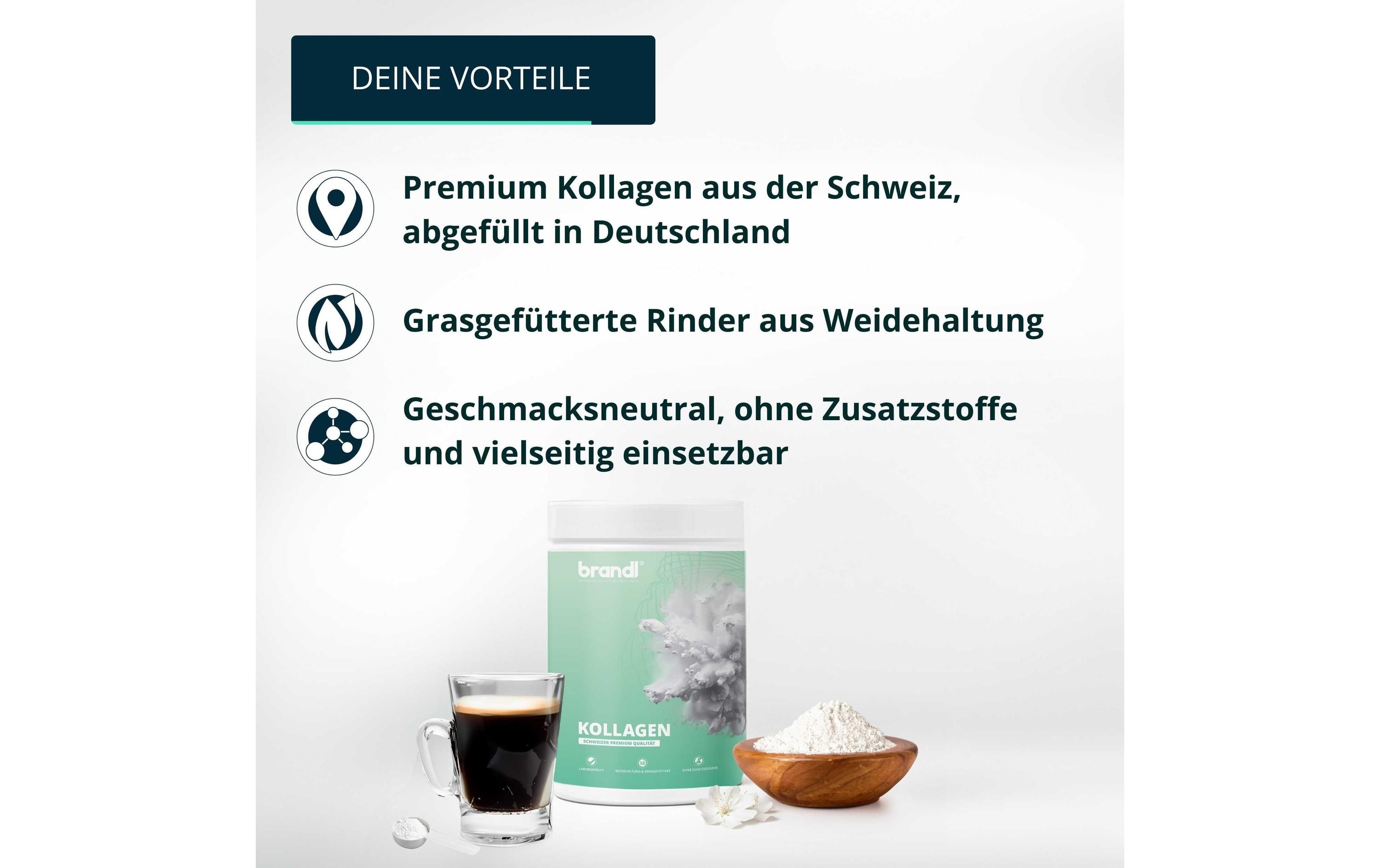 Brandl-Nutrition Pulver Kollagen Neutral 550 g