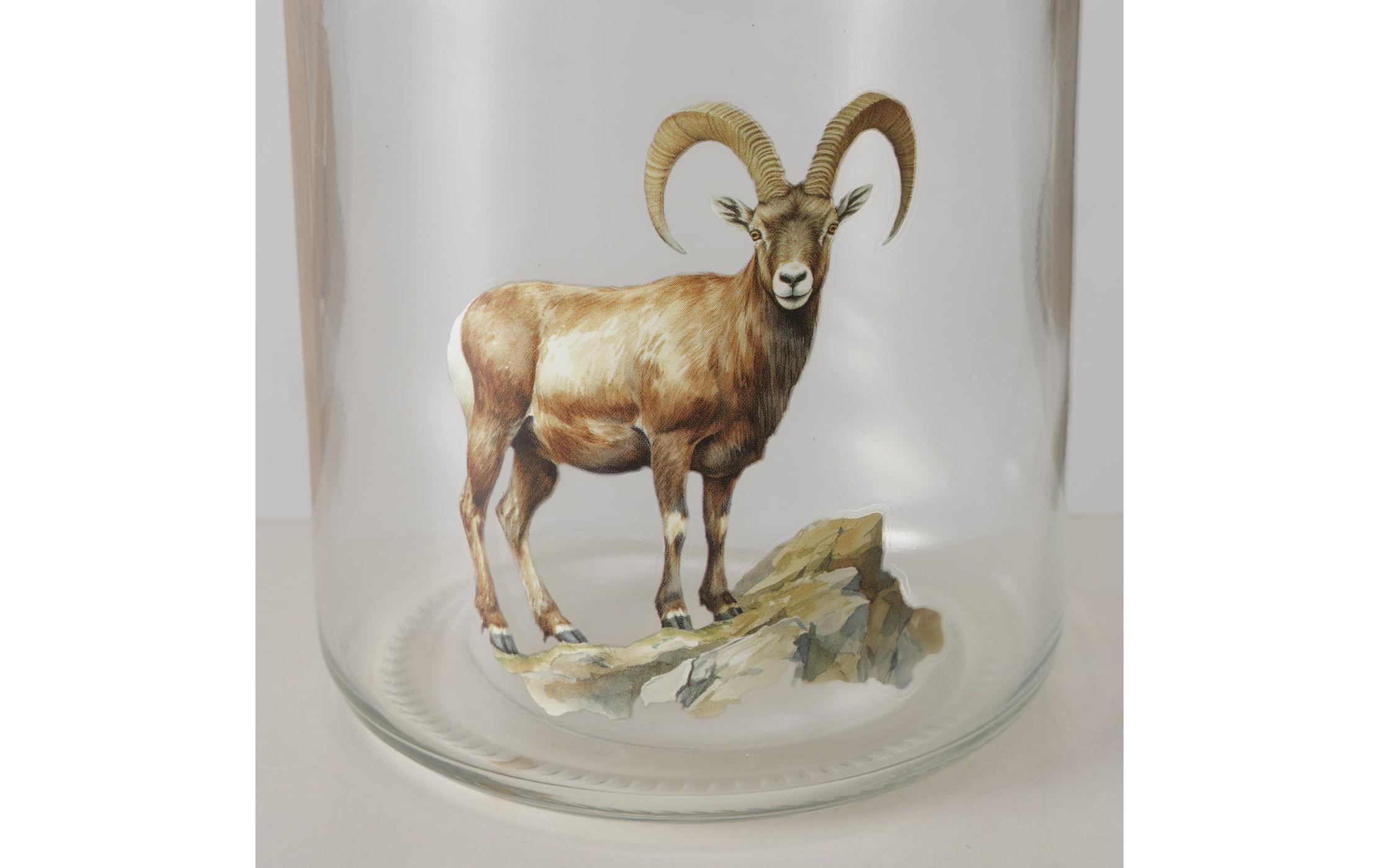 Boltze Vorratsglas Poldie 650 ml