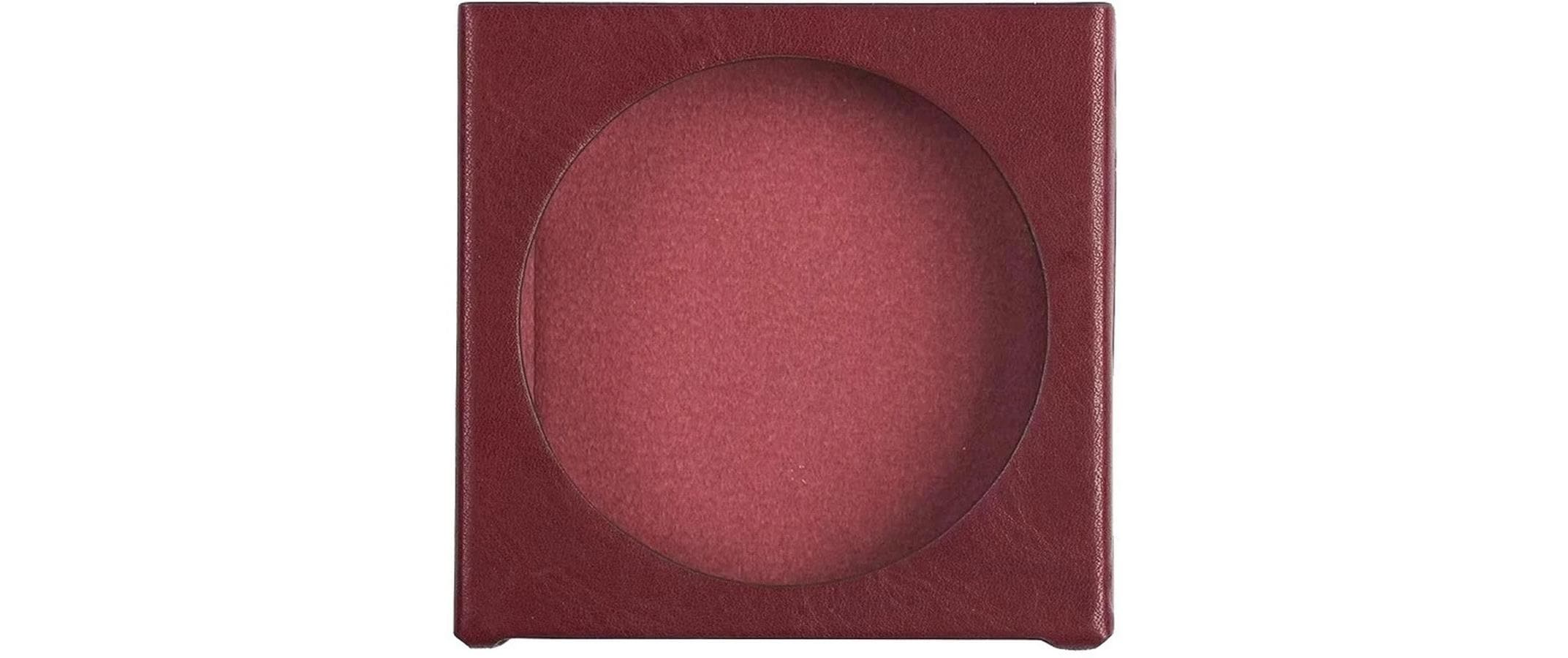 FiiO Schutzhülle SK-DISC