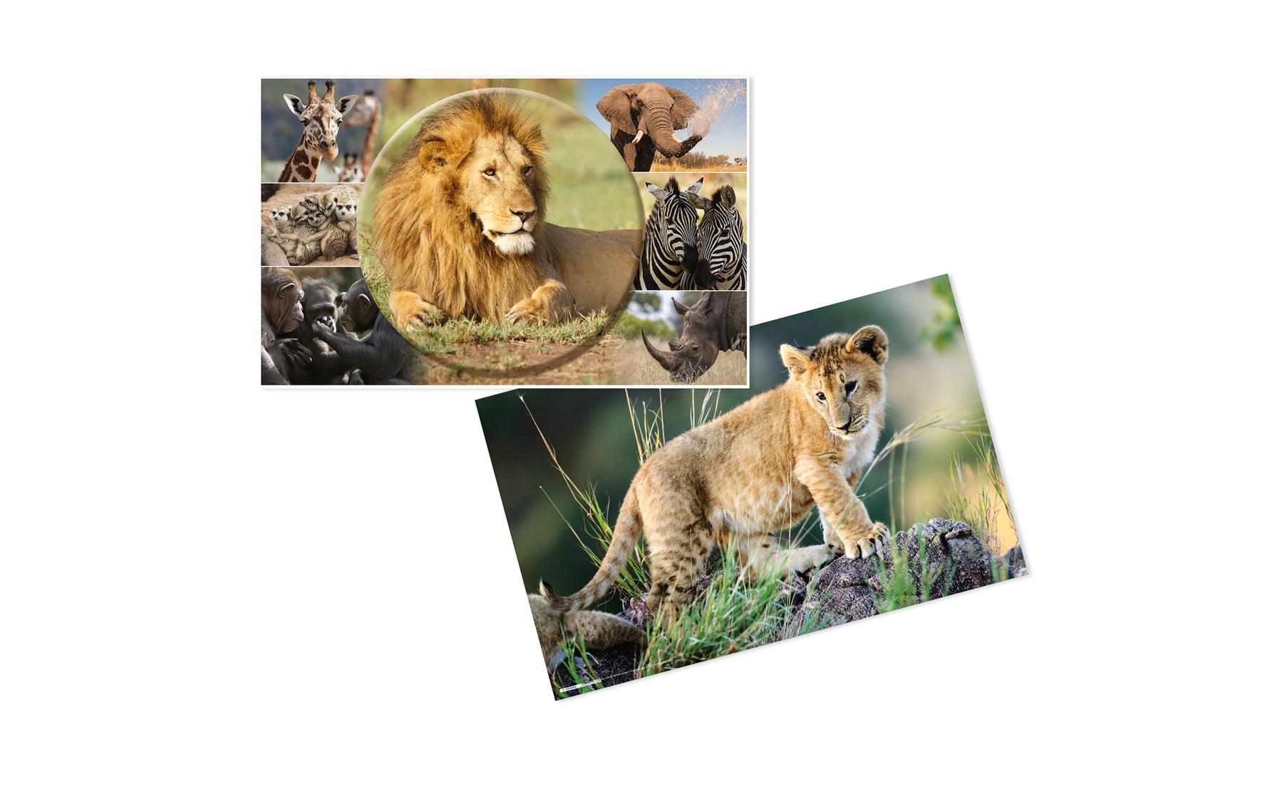 HERMA Schreibunterlage Afrika Tiere 55 x 35 cm