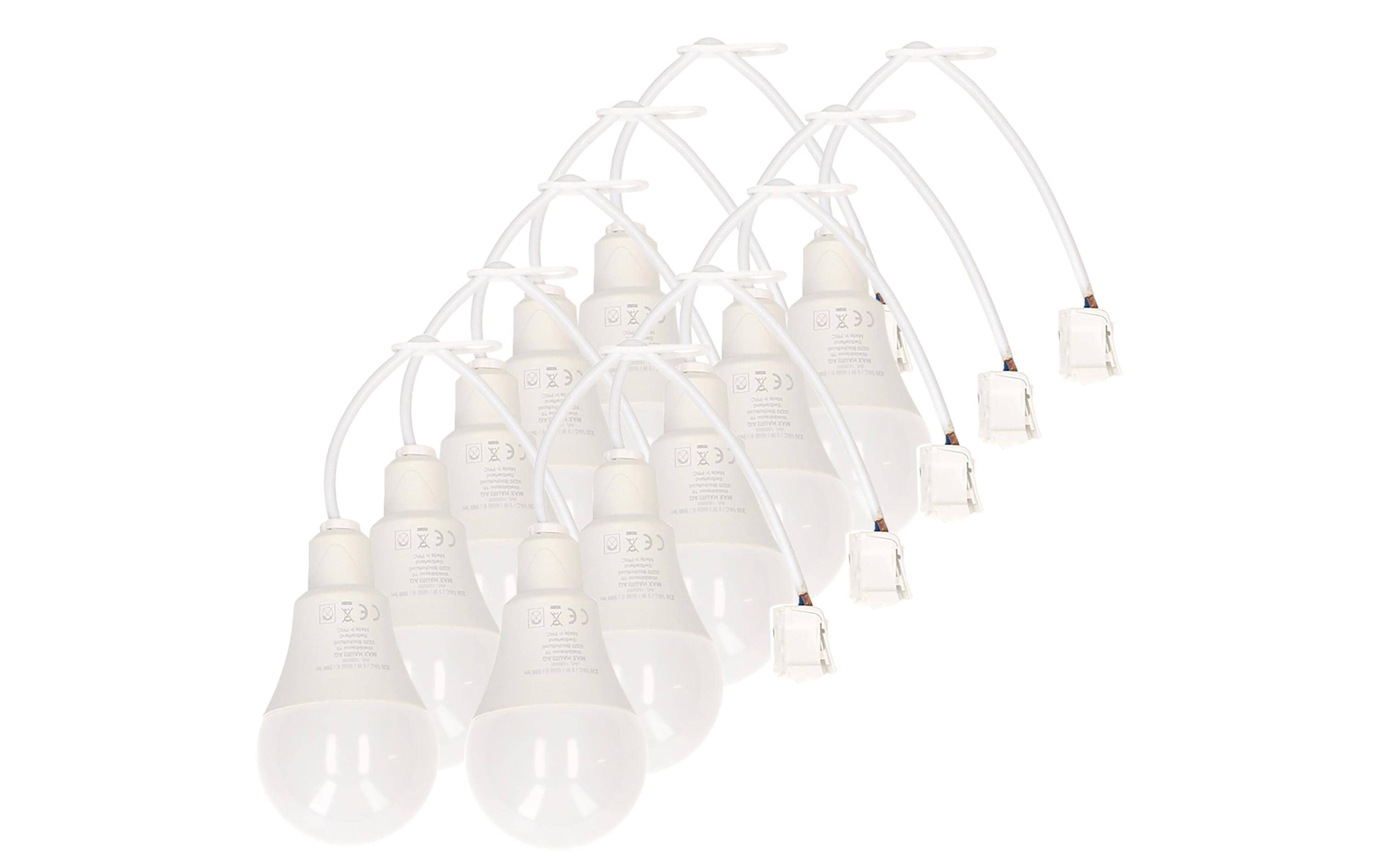 Max Hauri Baustellenlampe LED 4000K, 10 Stück