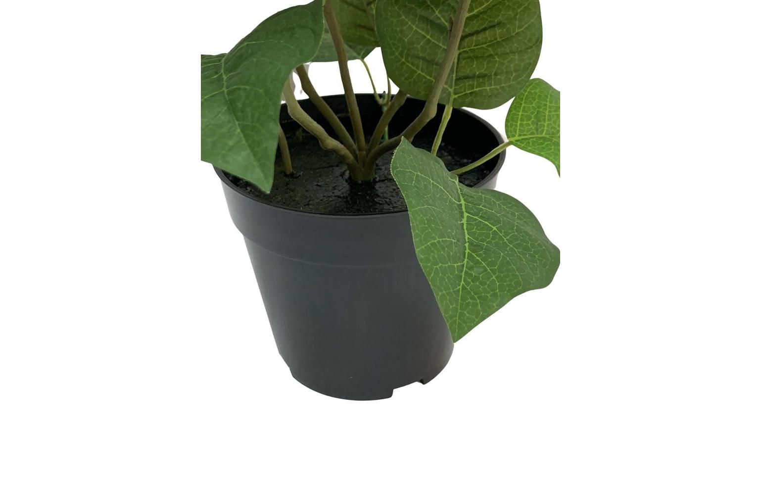 Botanic-Haus Kunstblume Weihnachtsstern Rot