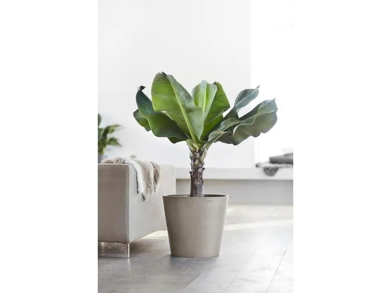 Ecopots Pflanzentopf Amsterdam 40, French Taupe Ecopots Pflanzentopf Amsterdam 40, French Taupe