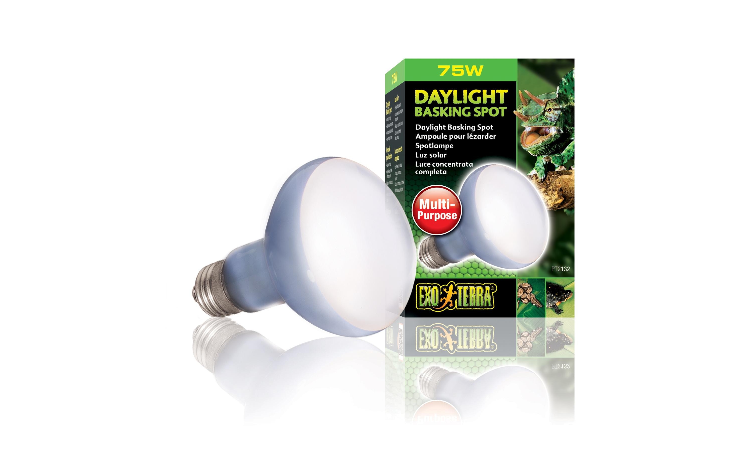 Exo Terra Terrarienlampe Daylight Basking Spot E27, R20/75W Exo Terra Terrarienlampe Daylight Basking Spot E27, R20/75W