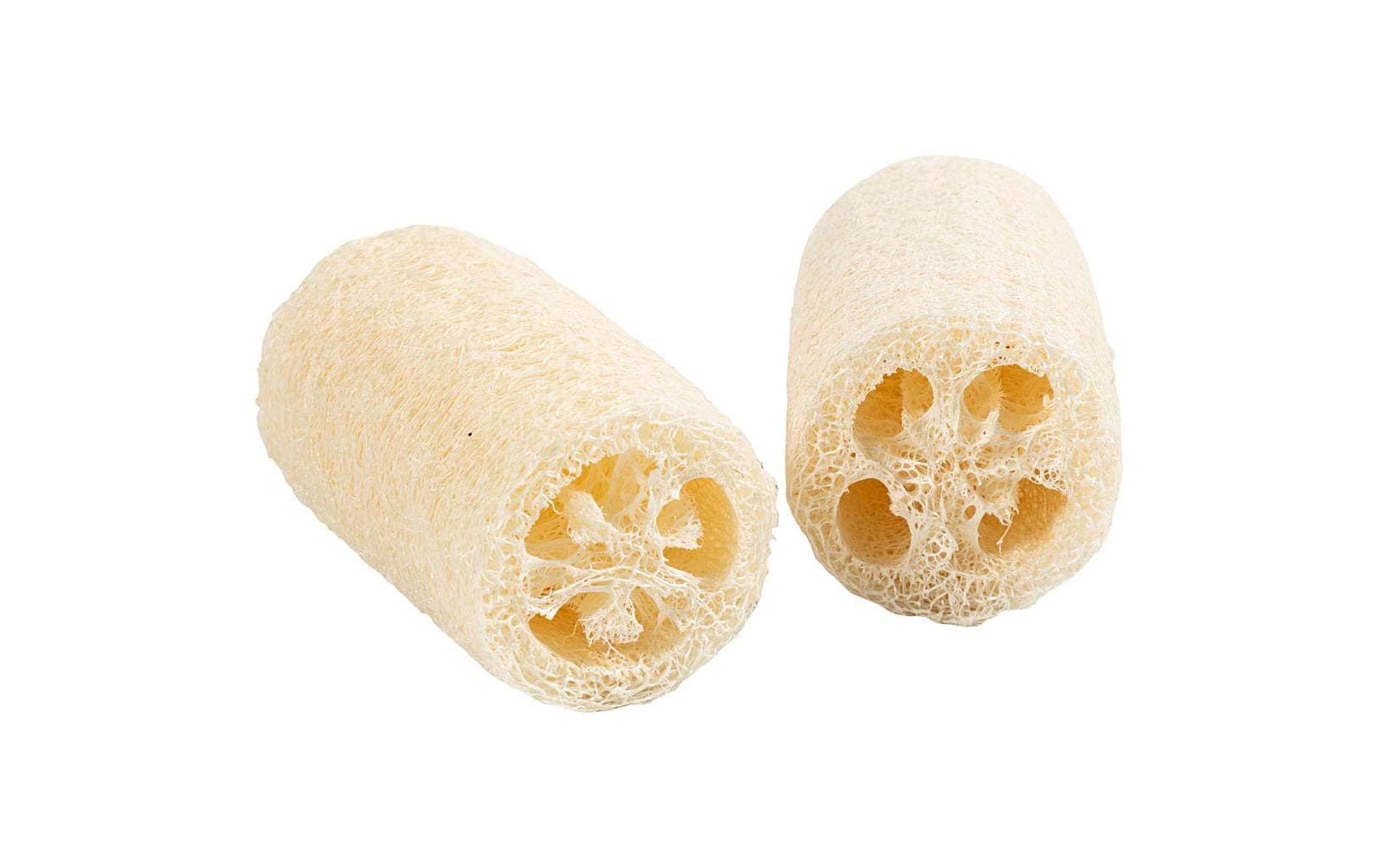 Creativ Company Natürlicher Luffa-Schwamm 10 x 5.5-8 cm, Hellnatur, 2 Stück