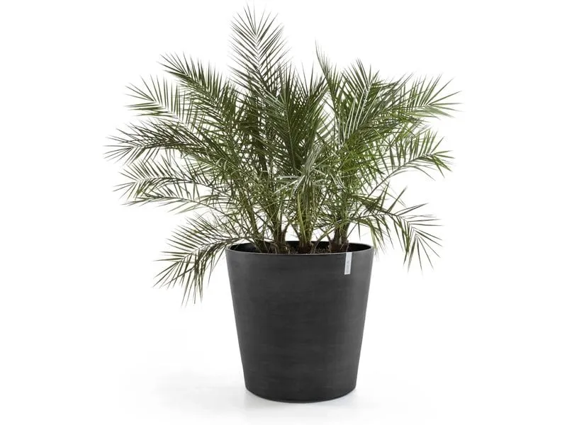 Ecopots Blumentopf Amsterdam Wheels Ø 60 cm Schwarz Ecopots Blumentopf Amsterdam Wheels Ø 60 cm Schwarz