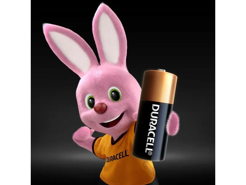 Duracell Batterie Alkaline N 2 Stück