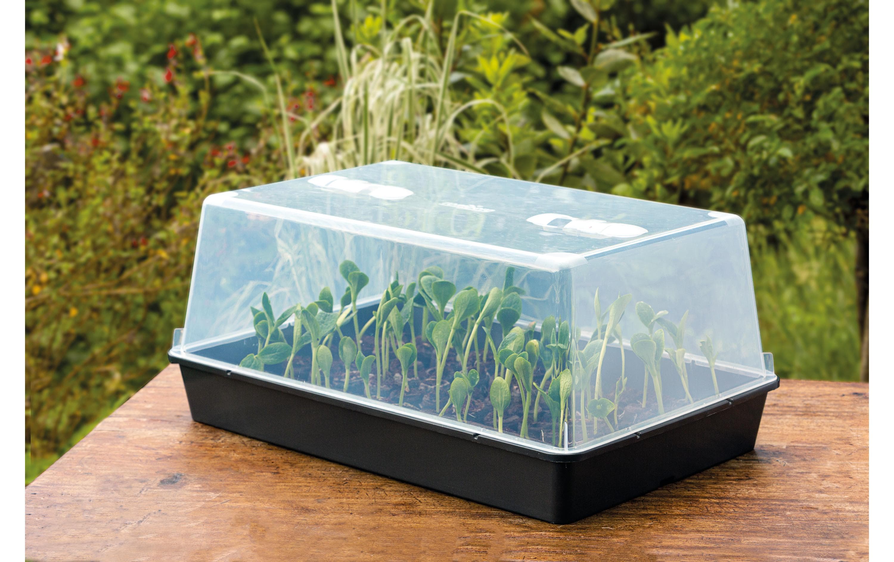 Romberg Gewächshaus XXL mit Belüftung,stabil,lose Ware