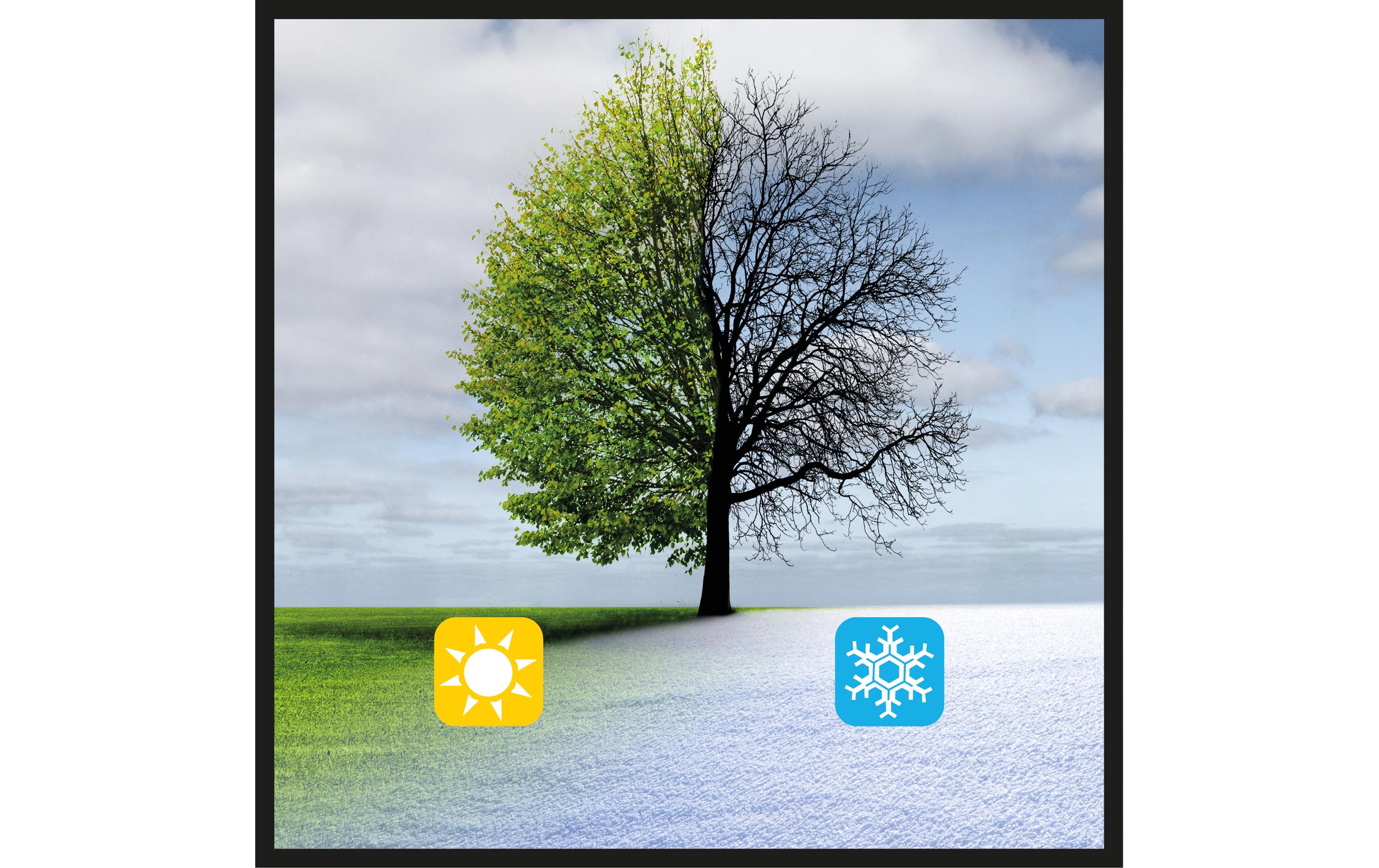 Einhell Akku-Universalstreuer GE-US 18 Li-Solo