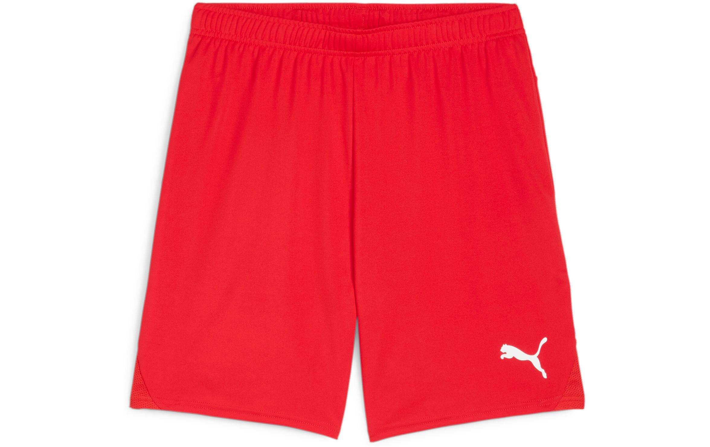 PUMA Shorts teamGOAL M, Rot