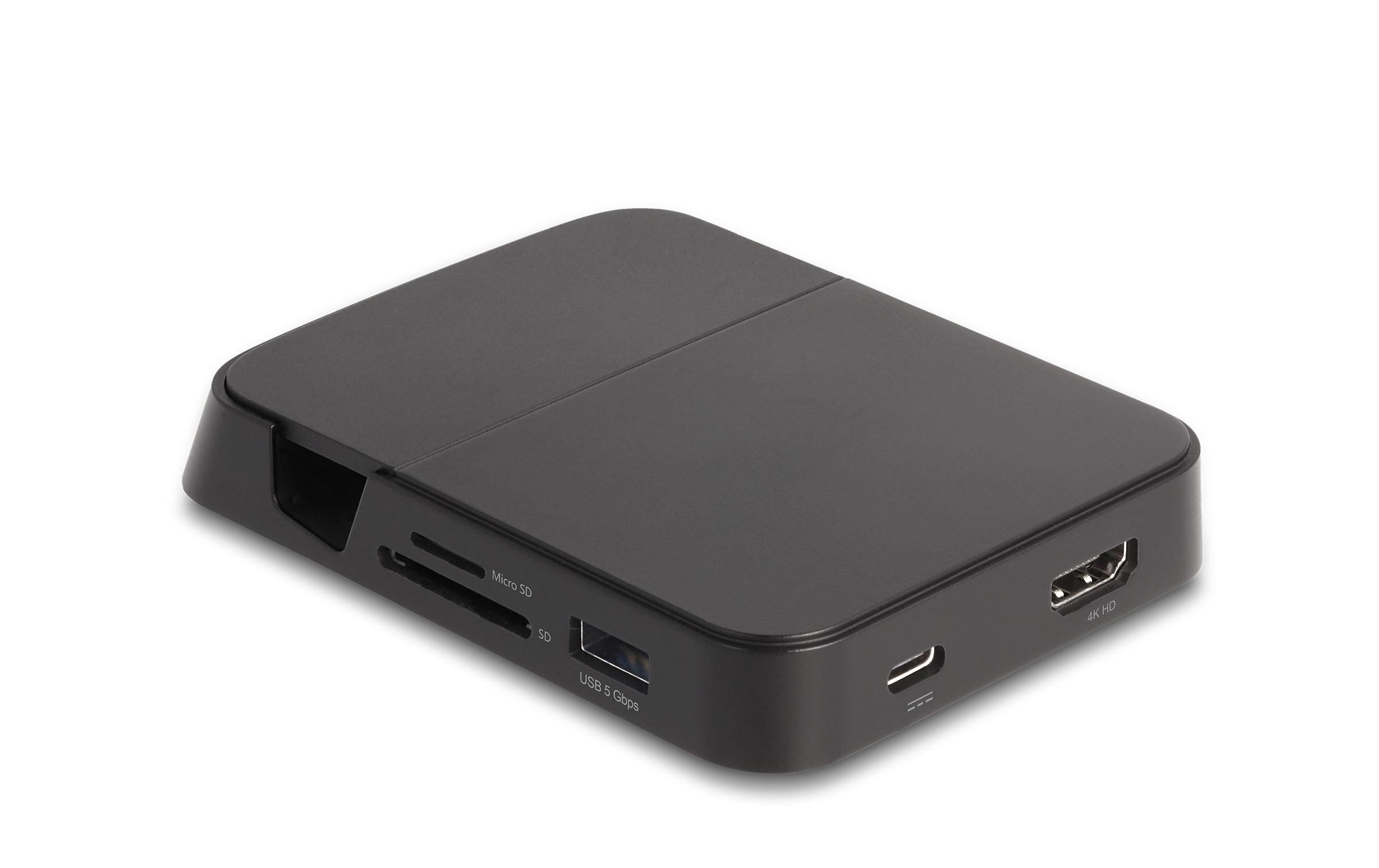 Delock Dockingstation 4K mit integrierter Halterung