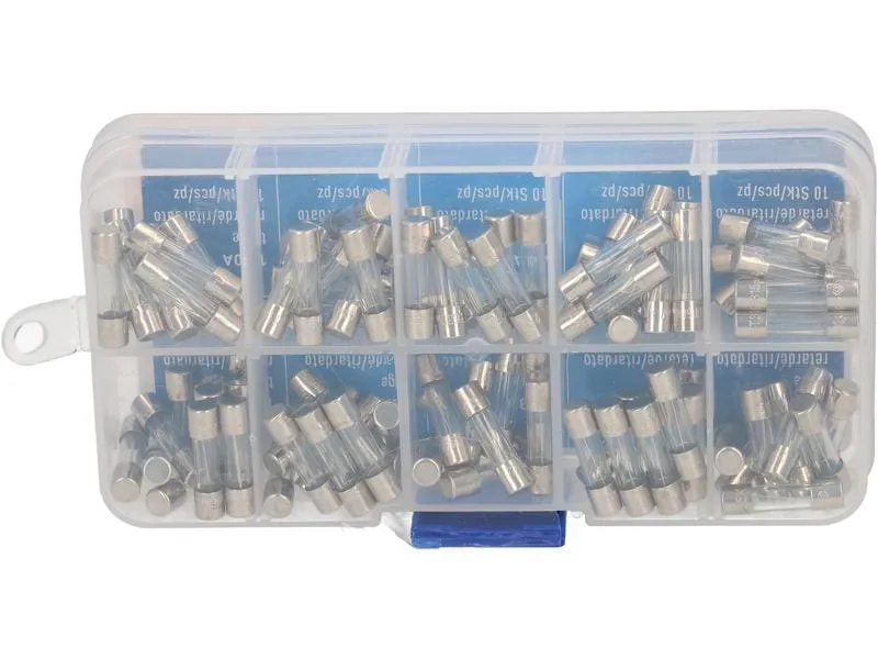 Max Hauri Schmelzsicherung Set 5 x 20 mm Träge, 100 Stück Max Hauri Schmelzsicherung Set 5 x 20 mm Träge, 100 Stück