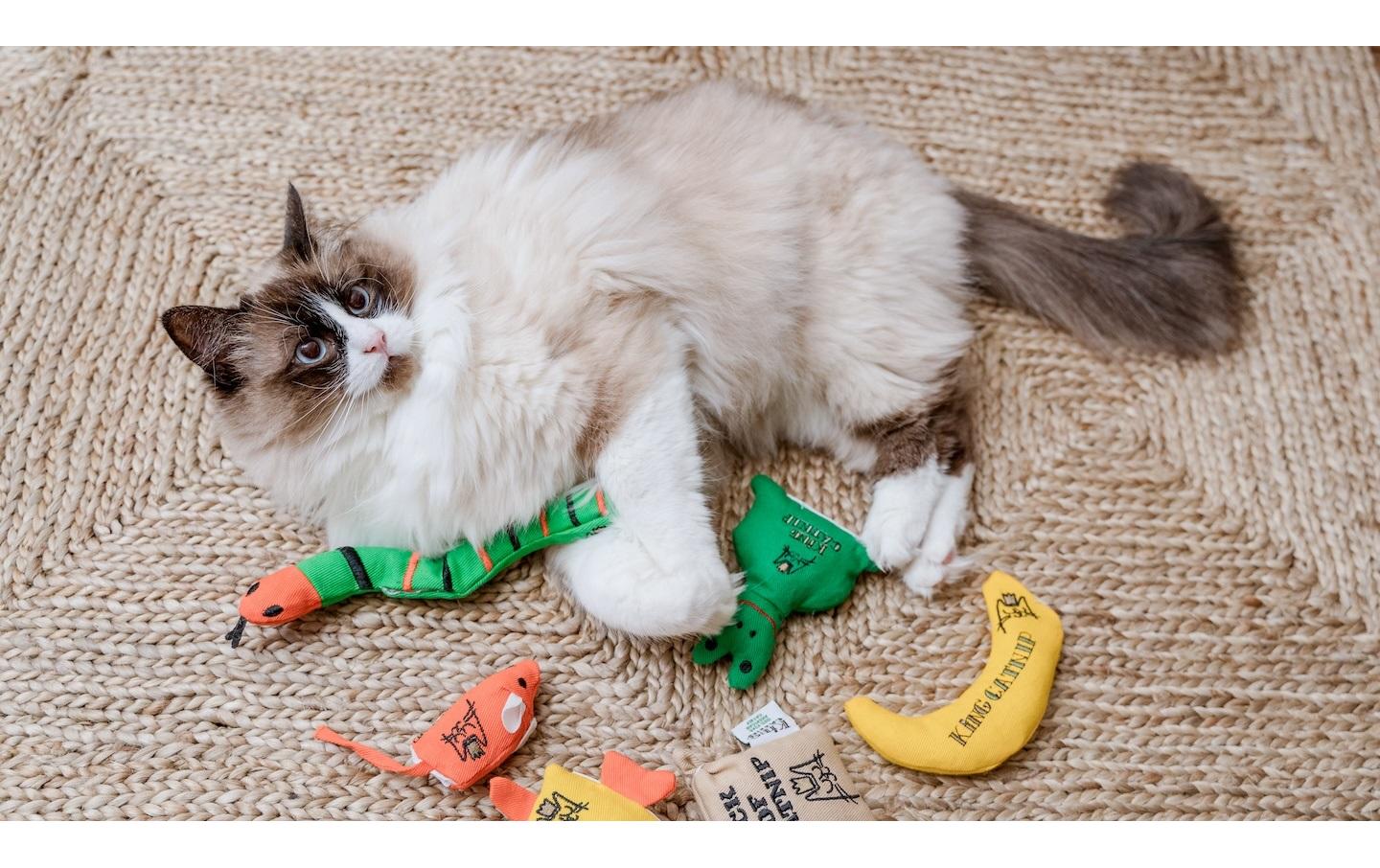 King Catnip Katzen-Spielzeug Ball 6 x 6 x 6 cm