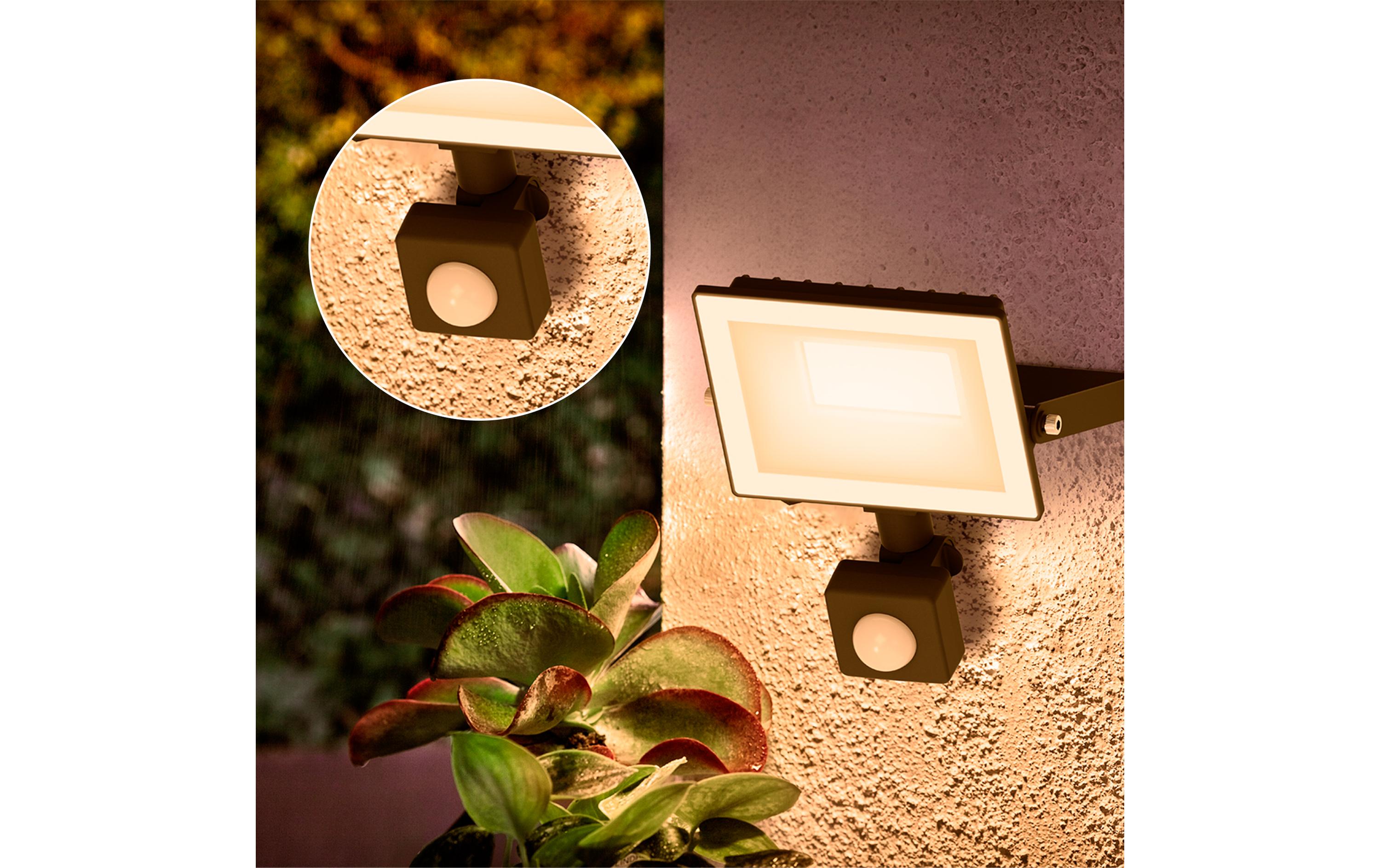 Philips Lois Flutlicht 20W 3000K IR IP65 schwarz 20 W