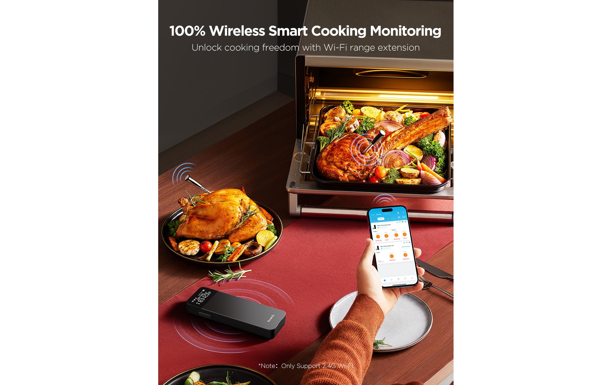 Govee Fleischthermometer