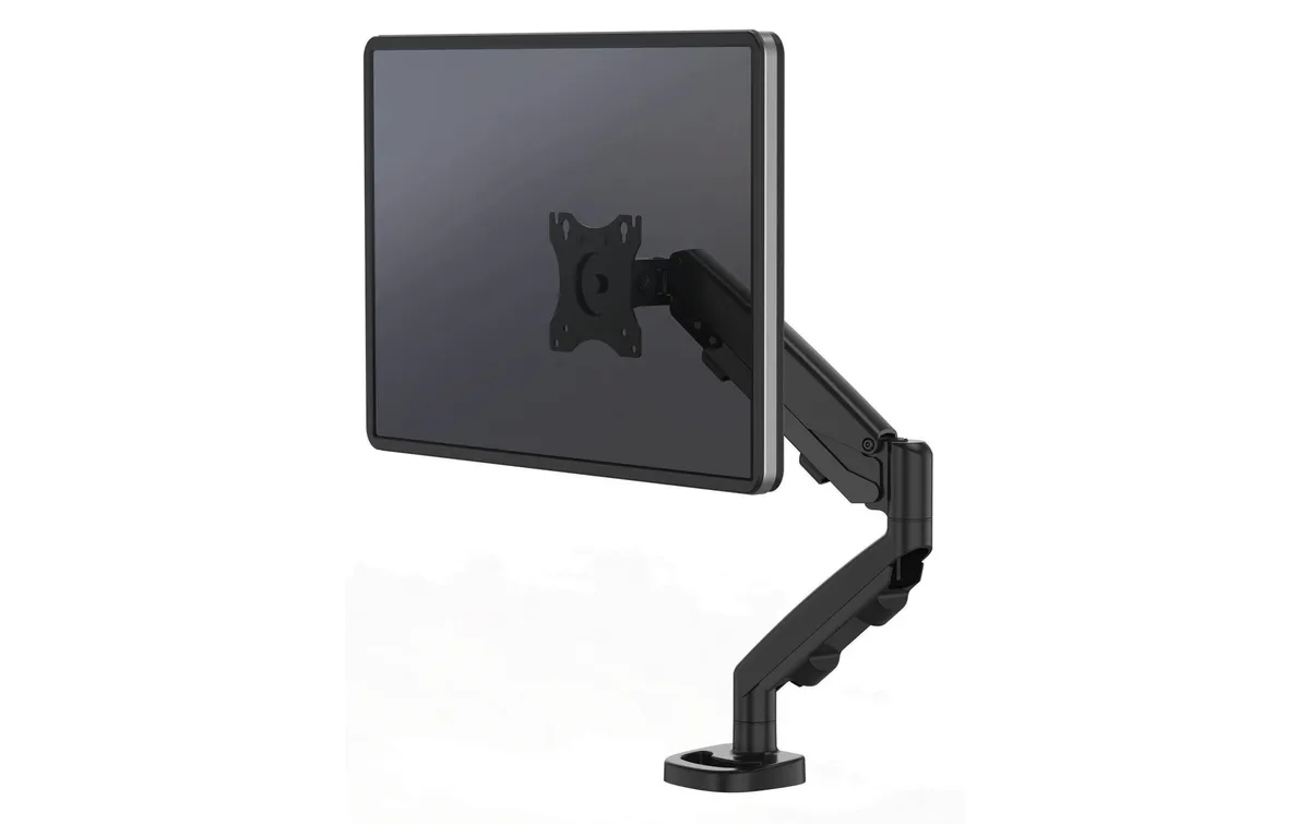 Fellowes Eppa Schwarz Fellowes Eppa Schwarz