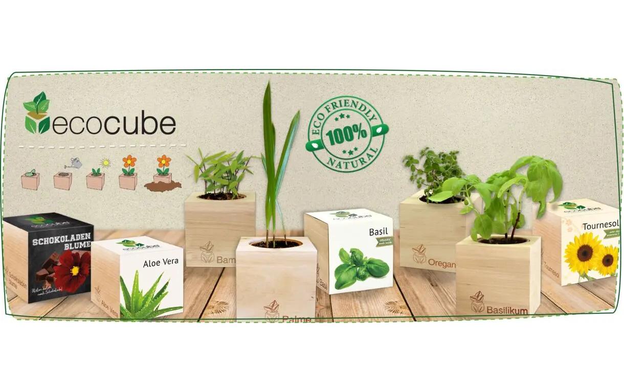 Feel Green Ecocube Bienen- & Schmetterlingswiese BIO Feel Green Ecocube Bienen- & Schmetterlingswiese BIO