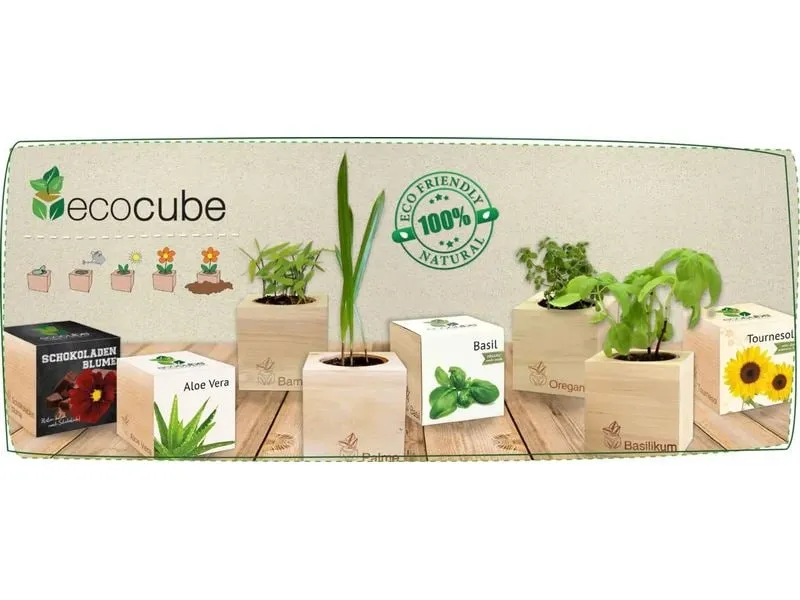 Feel Green Ecocube Bienen- & Schmetterlingswiese BIO
