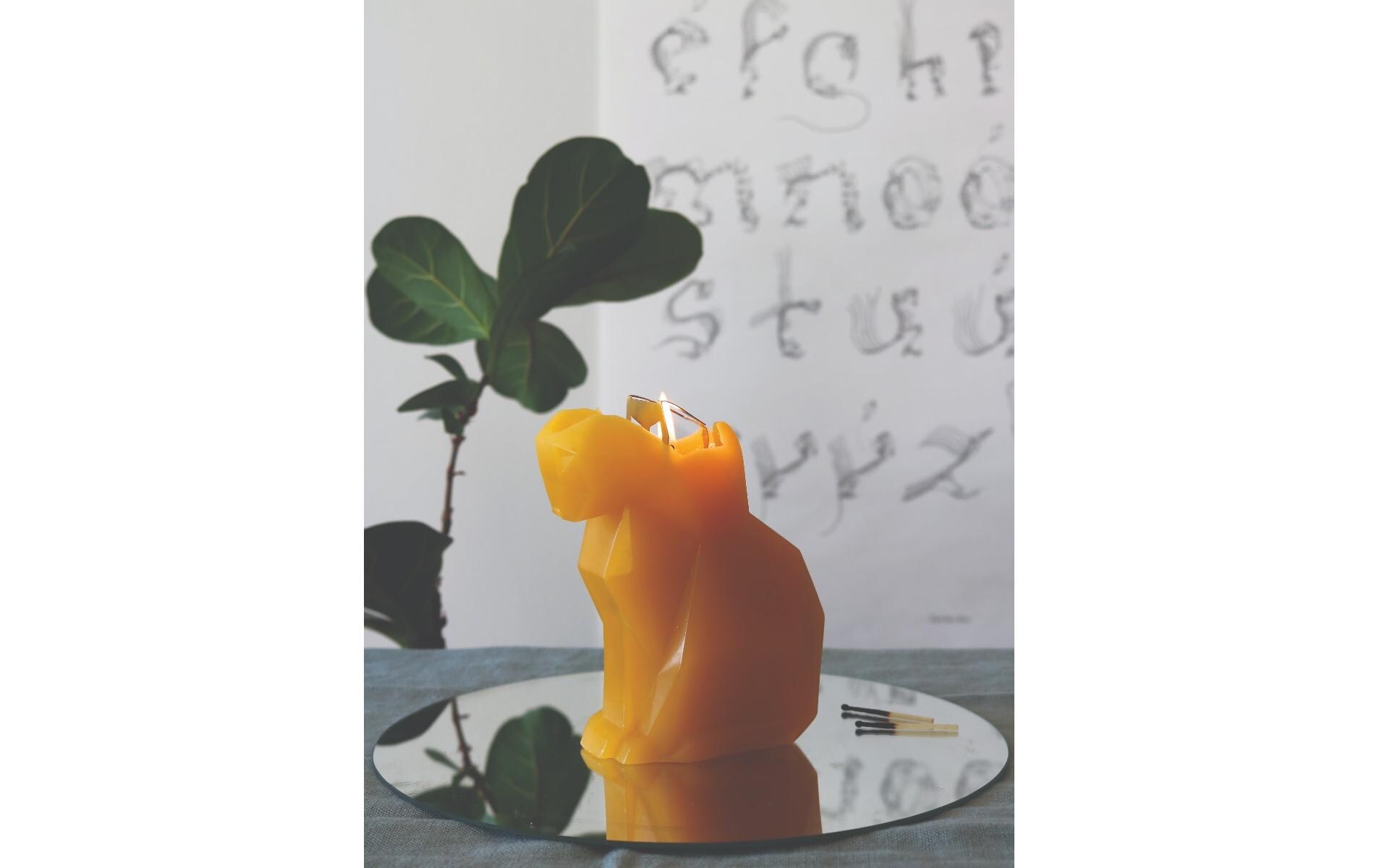 54Celsius Kerze PyroPet Cat Kisa Senfgelb