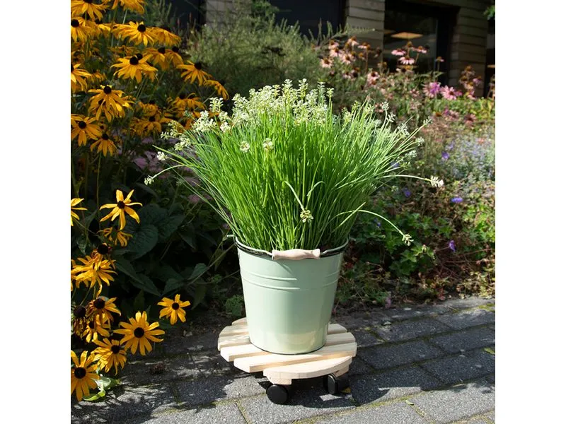 Esschert Design Rolleruntersetzer Rund L Nature/Schwarz