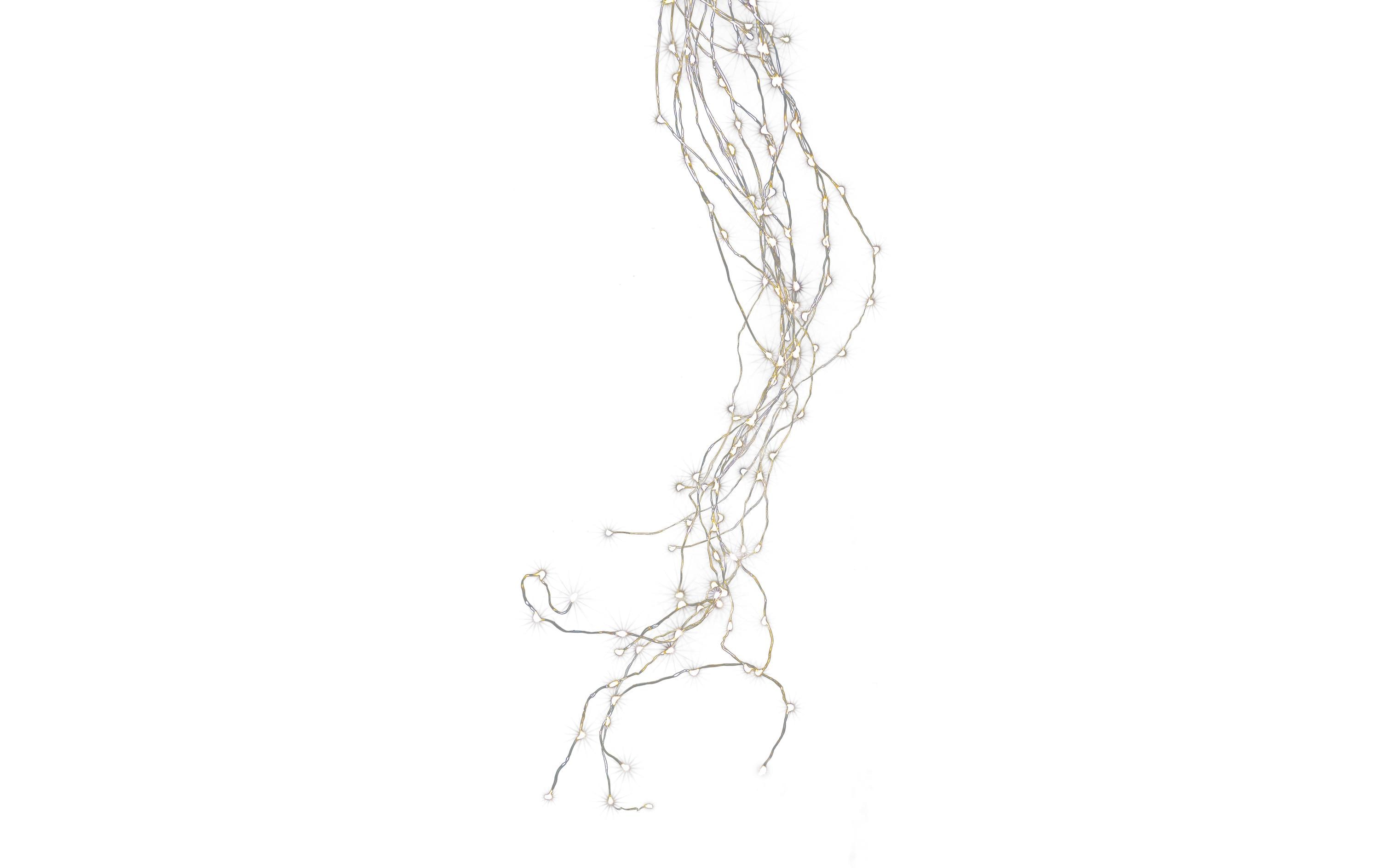 STT LED Lichterkette Angel Hair Bouquet, 2.5 m, 600 LEDs, Silber