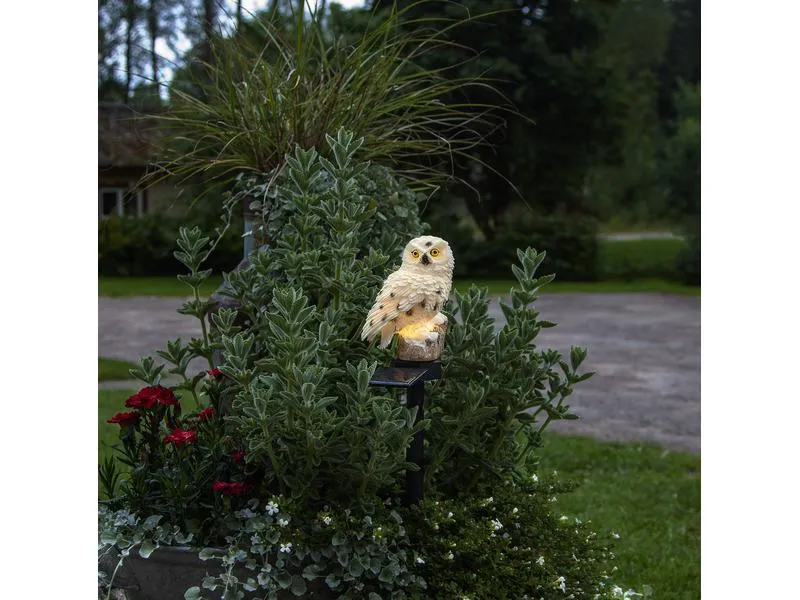 Star Trading Gartenlicht Solardekoration Owl, Beige
