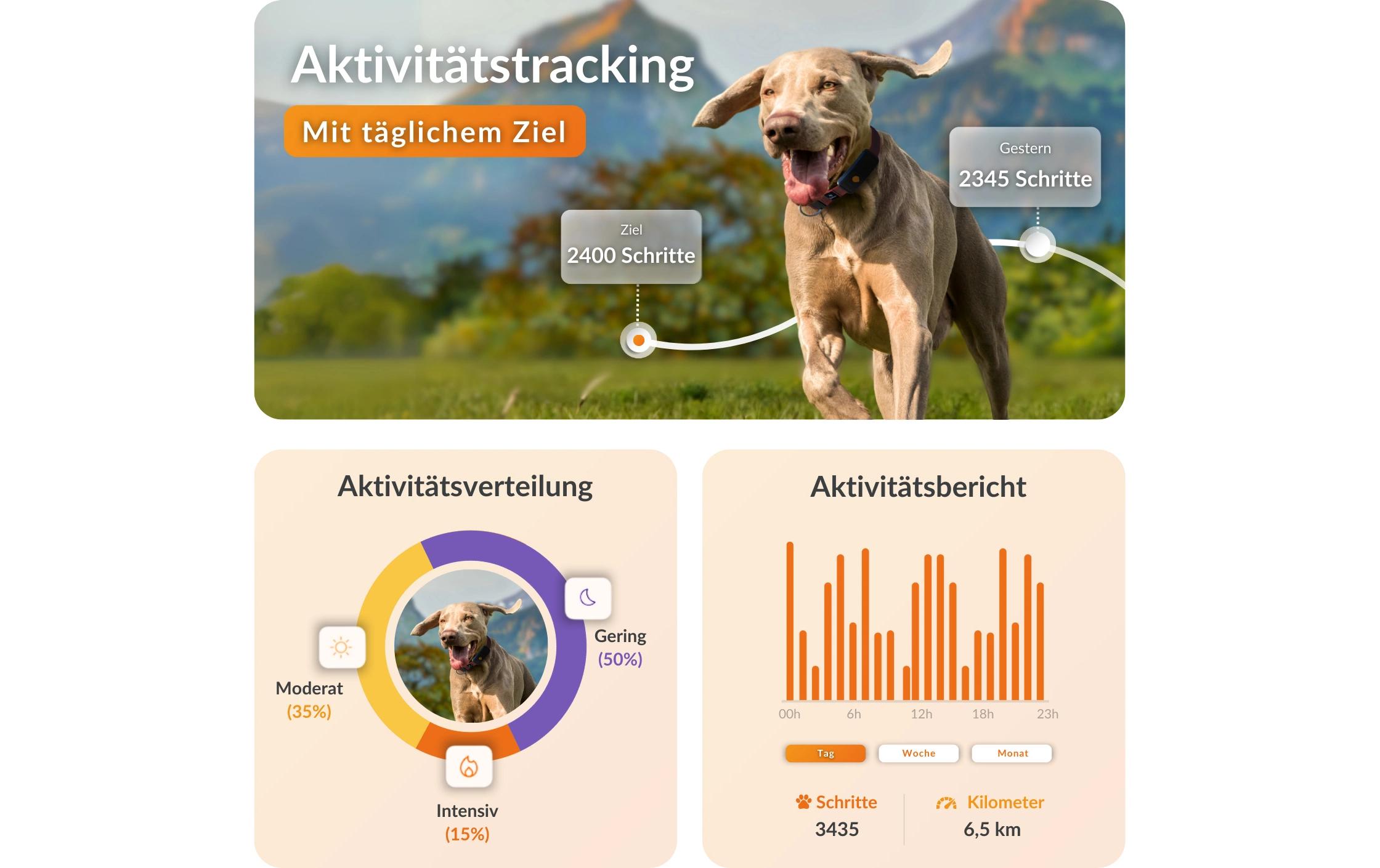 Weenect GPS-Tracker für Hunde XT ohne Halsband Weenect GPS-Tracker für Hunde XT ohne Halsband