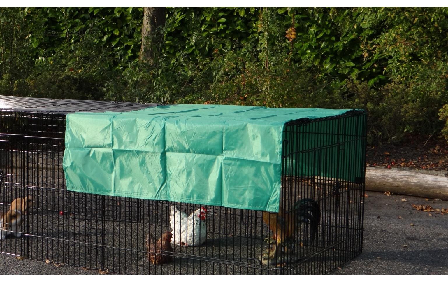 Sanilu Sonnenschutz, 159 x 100 cm, Grün