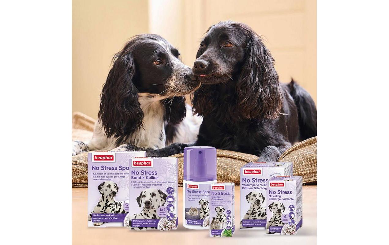 Beaphar Halsband für Hunde 65 cm