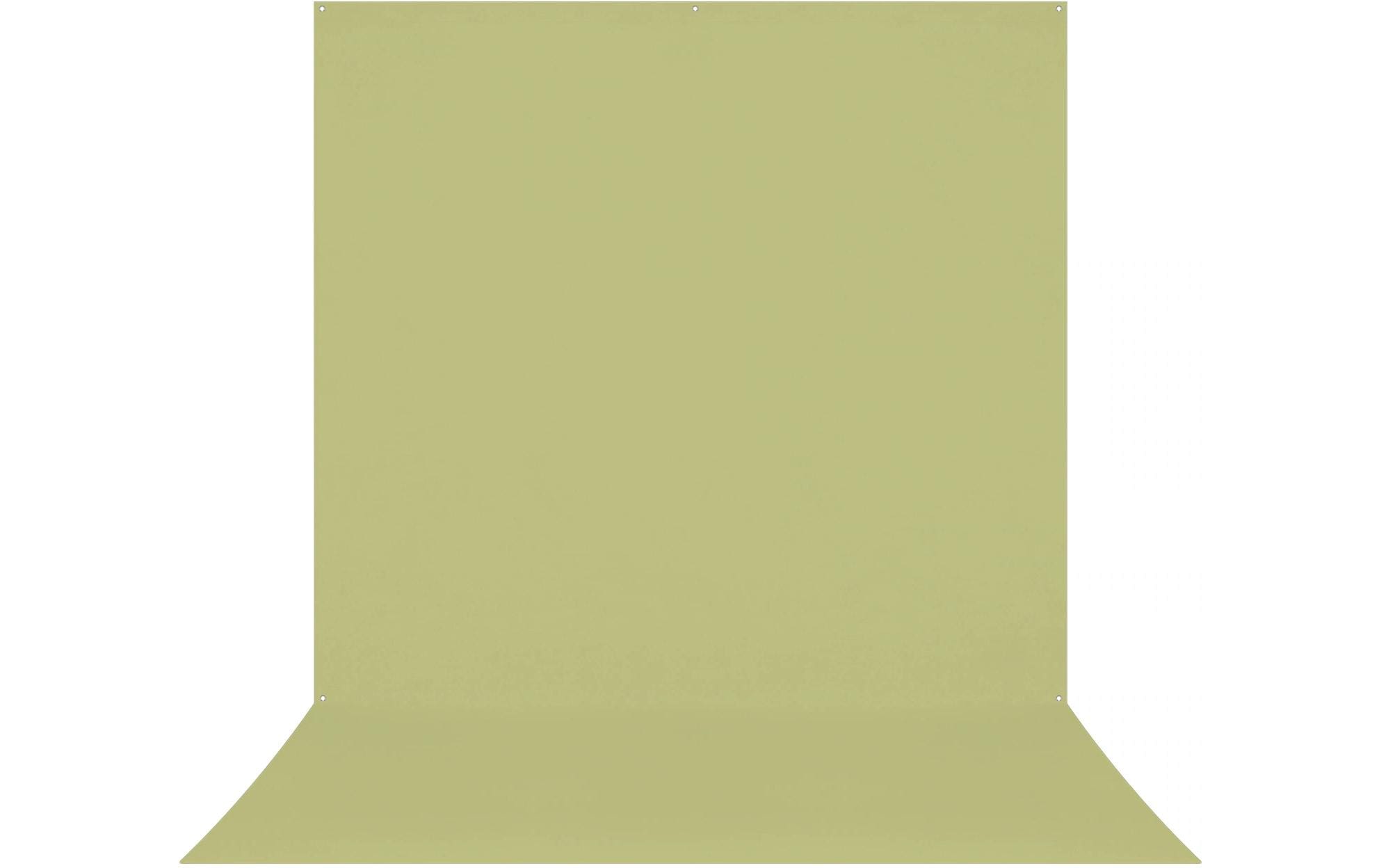 Westcott Hintergrund X-Drop Pro 246 x 400 cm Light Green