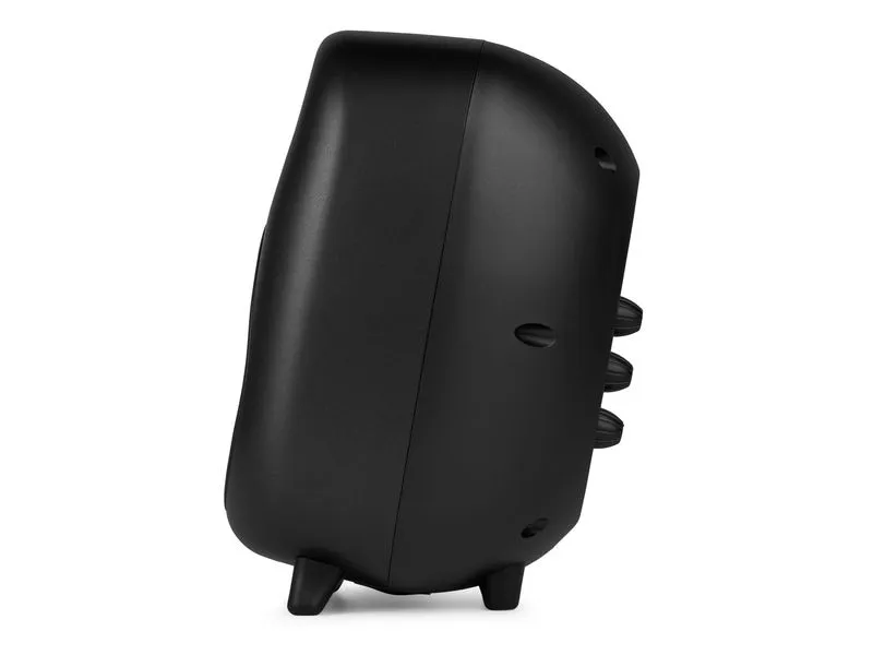 Audizio Regallautsprecher Paar RS80 160W, BT Dunkelgrau
