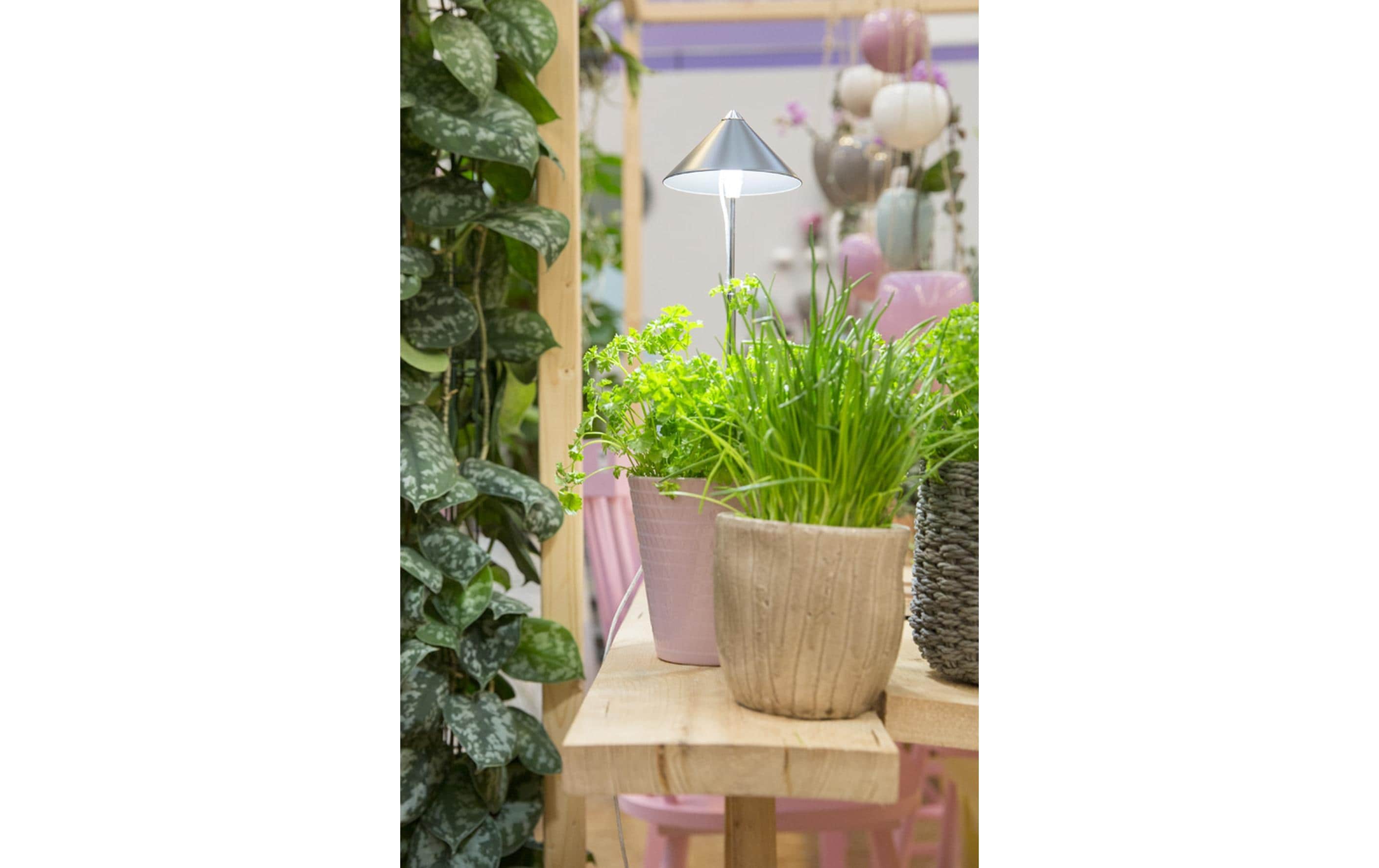 Venso Solutions Pflanzenleuchte SunLite 7 W, Grau