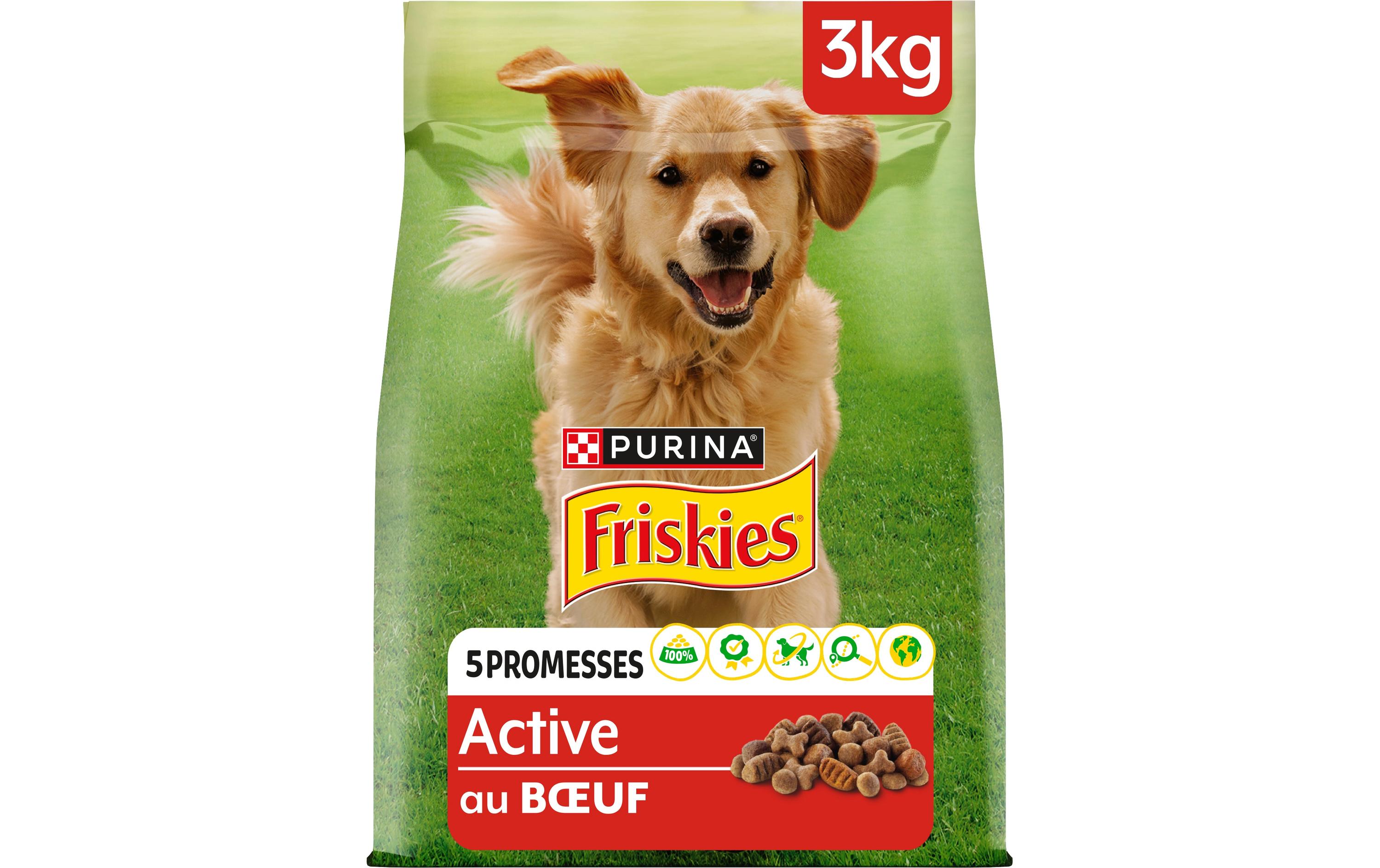 Purina Friskies Trockenfutter Active Hund mit Rind 3 kg