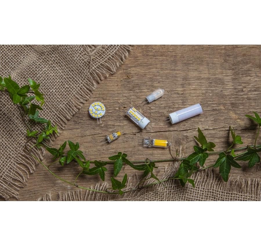 Star Trading LED Leuchtmittel G4 Halo-LED 180 lm, 2700K, 2W, 12 V AC/DC