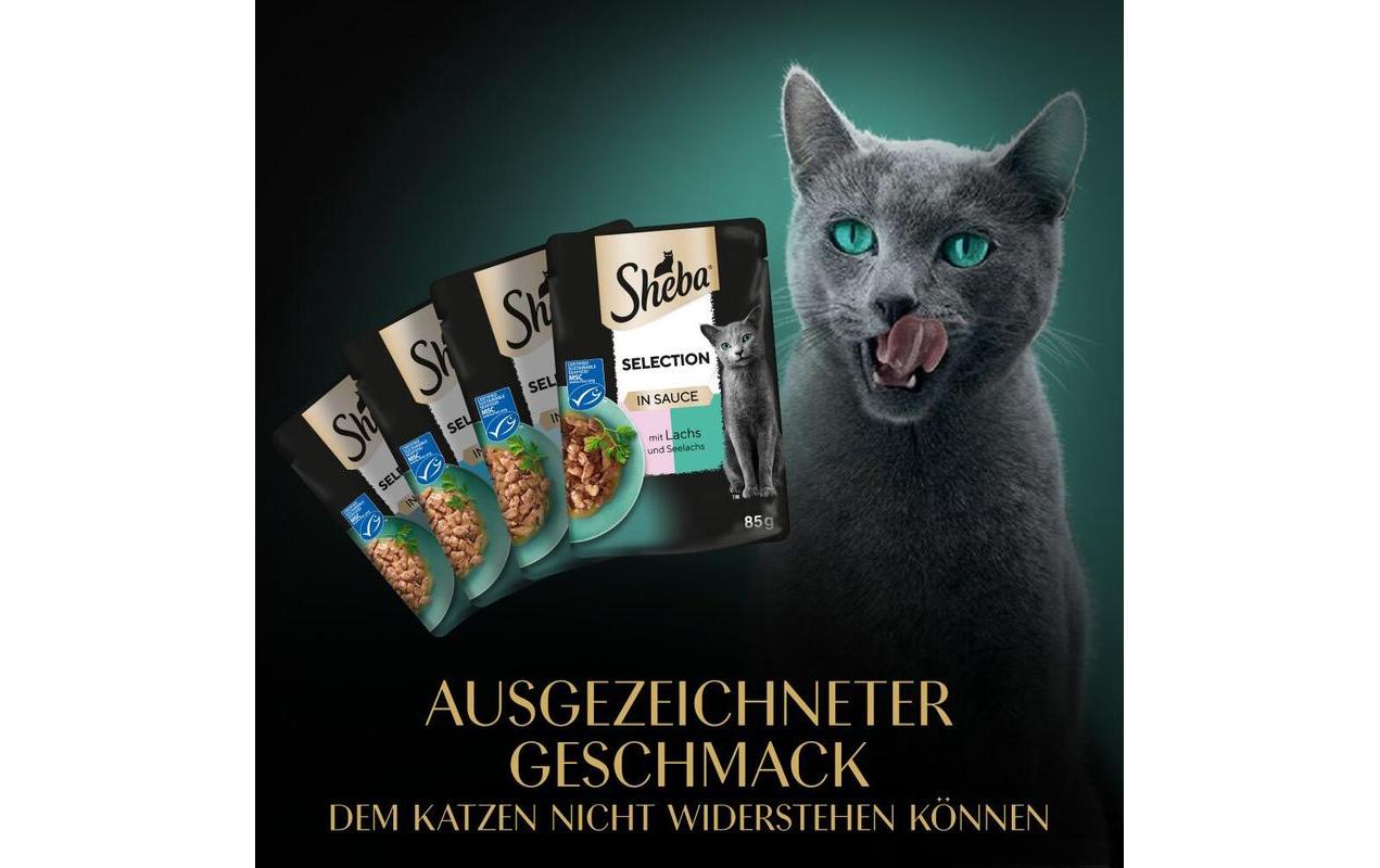 Sheba Nassfutter Selection Sauce Fisch Variation, 4 x 85g