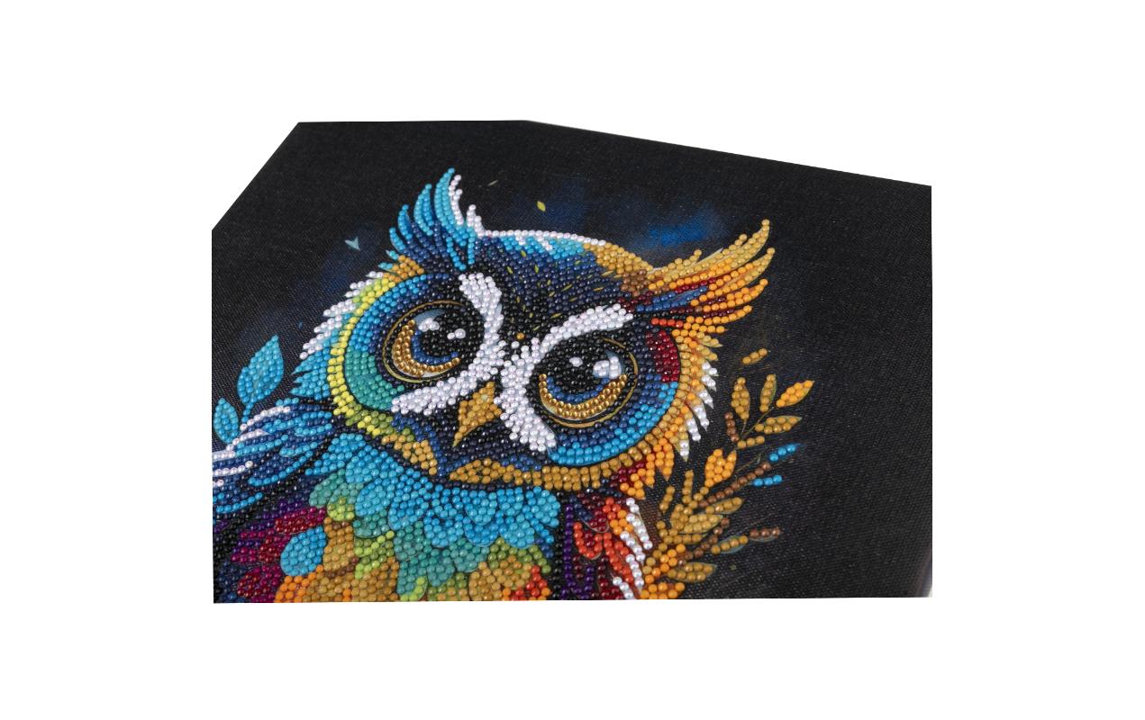 CRAFT Buddy Bastelset Crystal Art Kit Eule