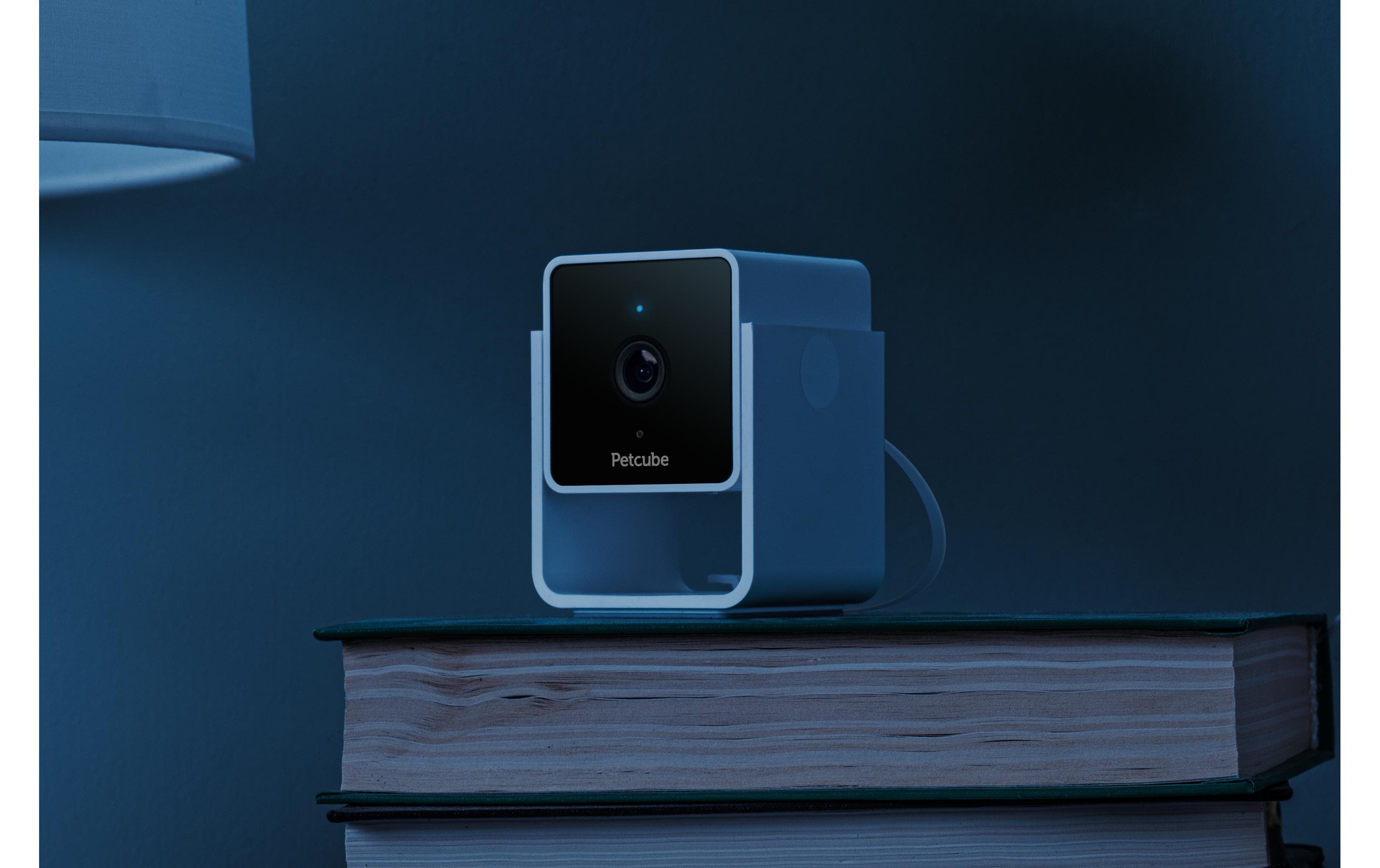 Petcube Haustierkamera Pet Cube