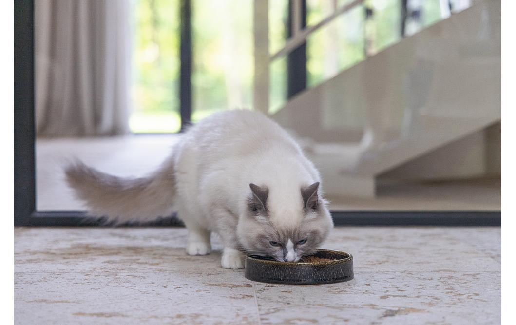 Designed by Lotte Kera Katzennapf Jace 15 x 15 x 3 cm, schwarz